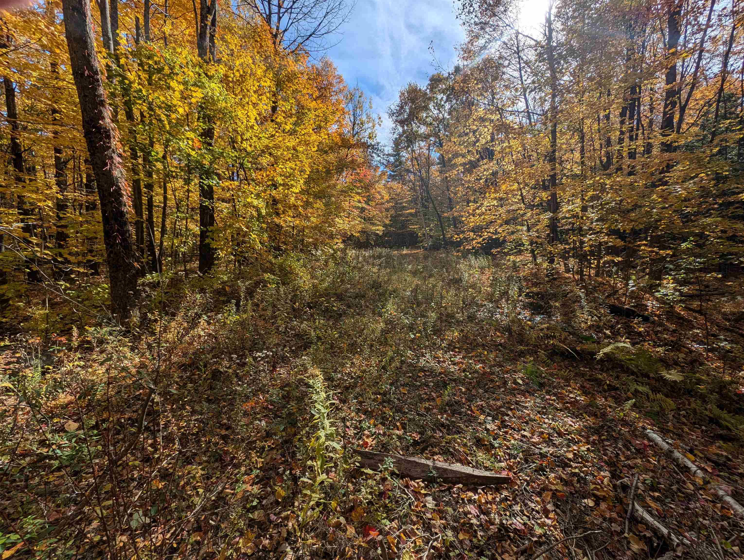 Lot 7-13 Mountain Road Property Photo 17