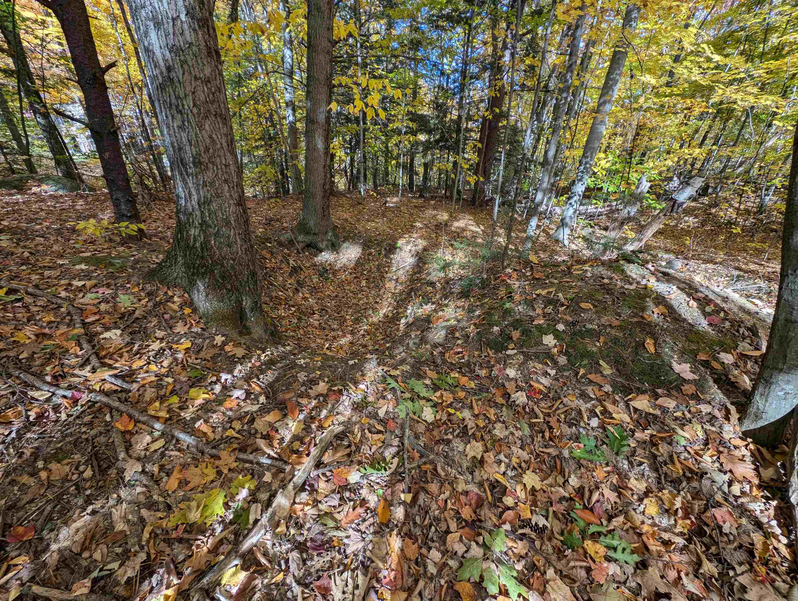 Lot 7-13 Mountain Road Property Photo 18