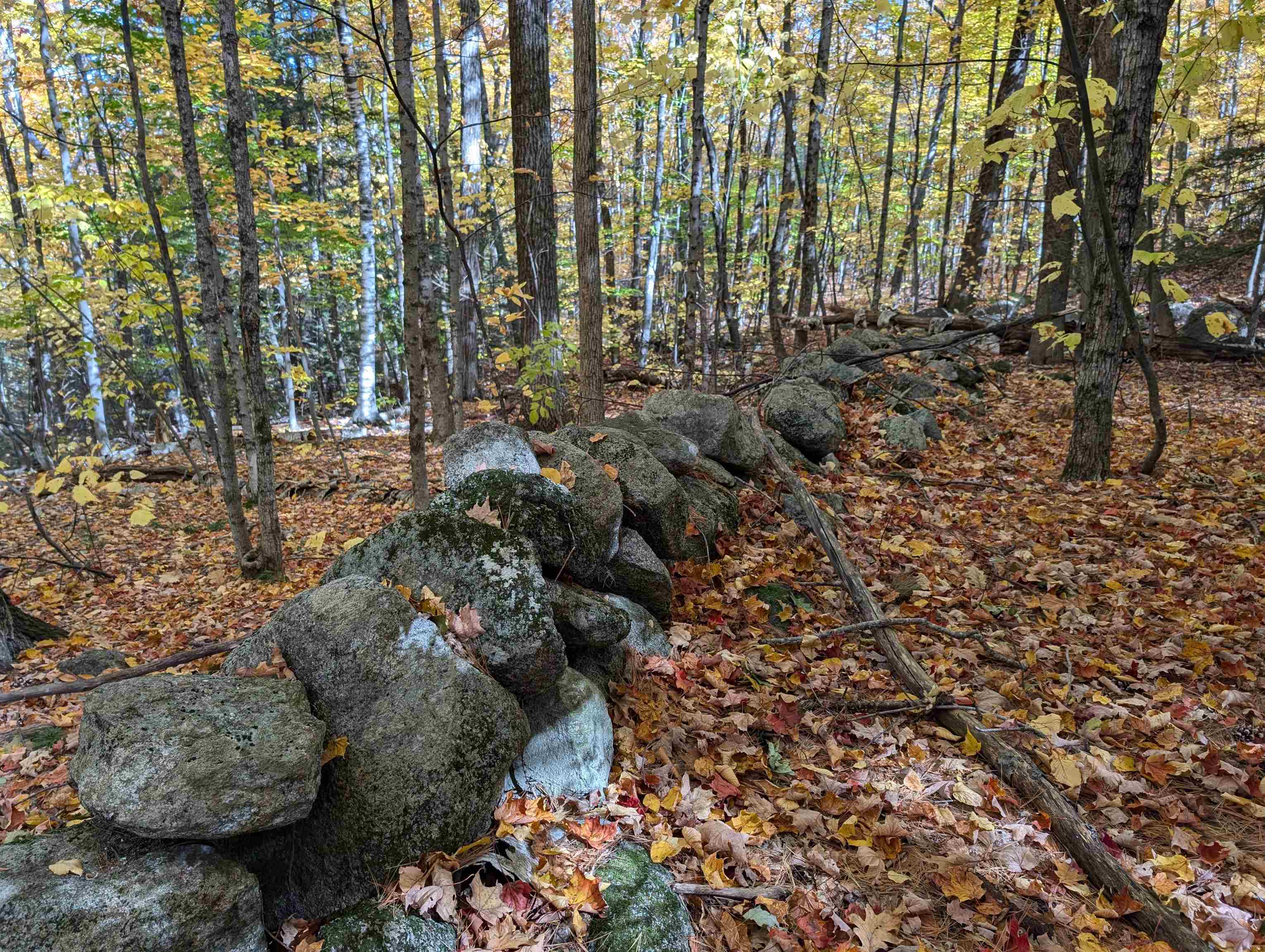 Lot 7-13 Mountain Road Property Photo 19