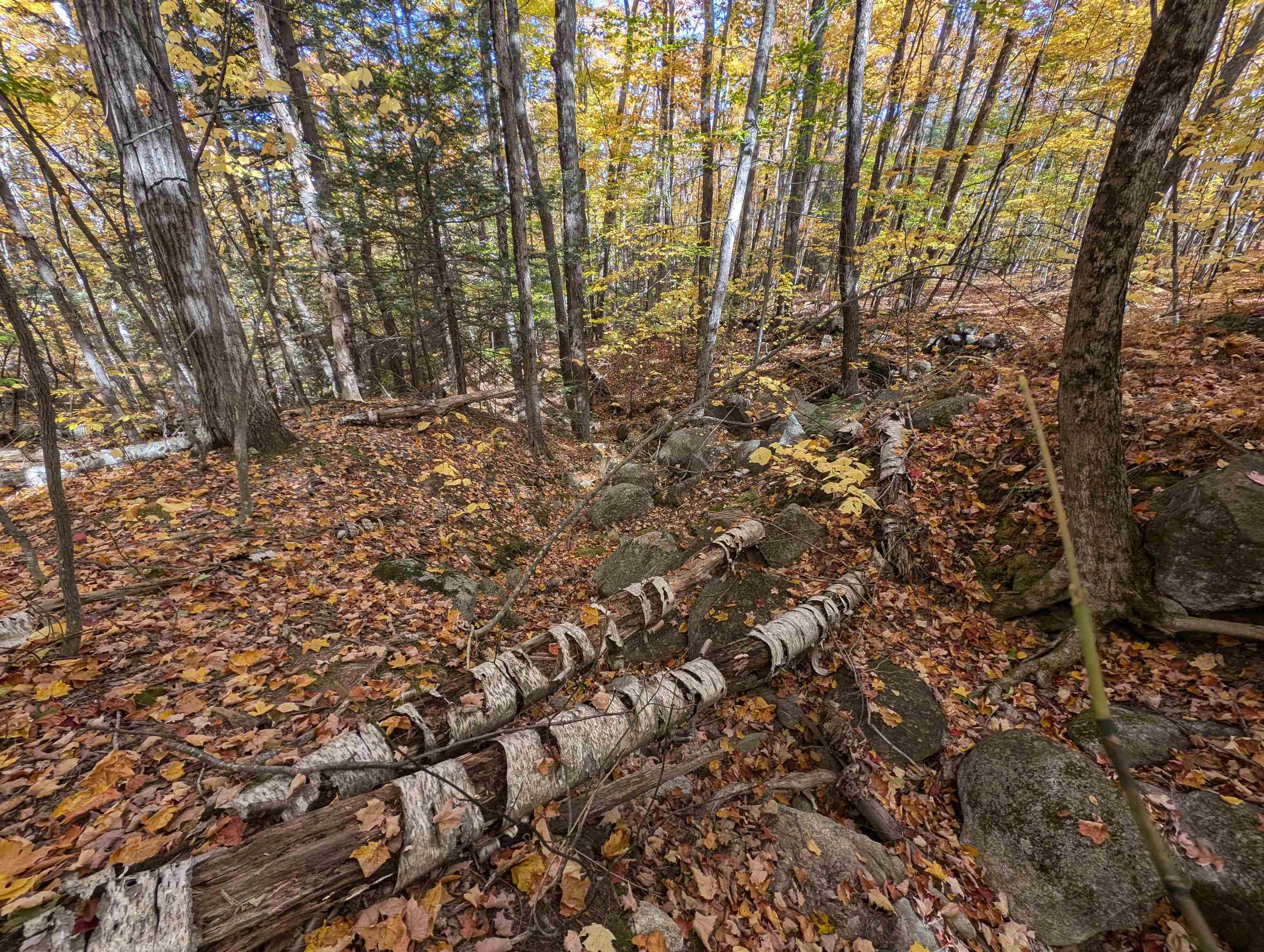 Lot 7-13 Mountain Road Property Photo 20