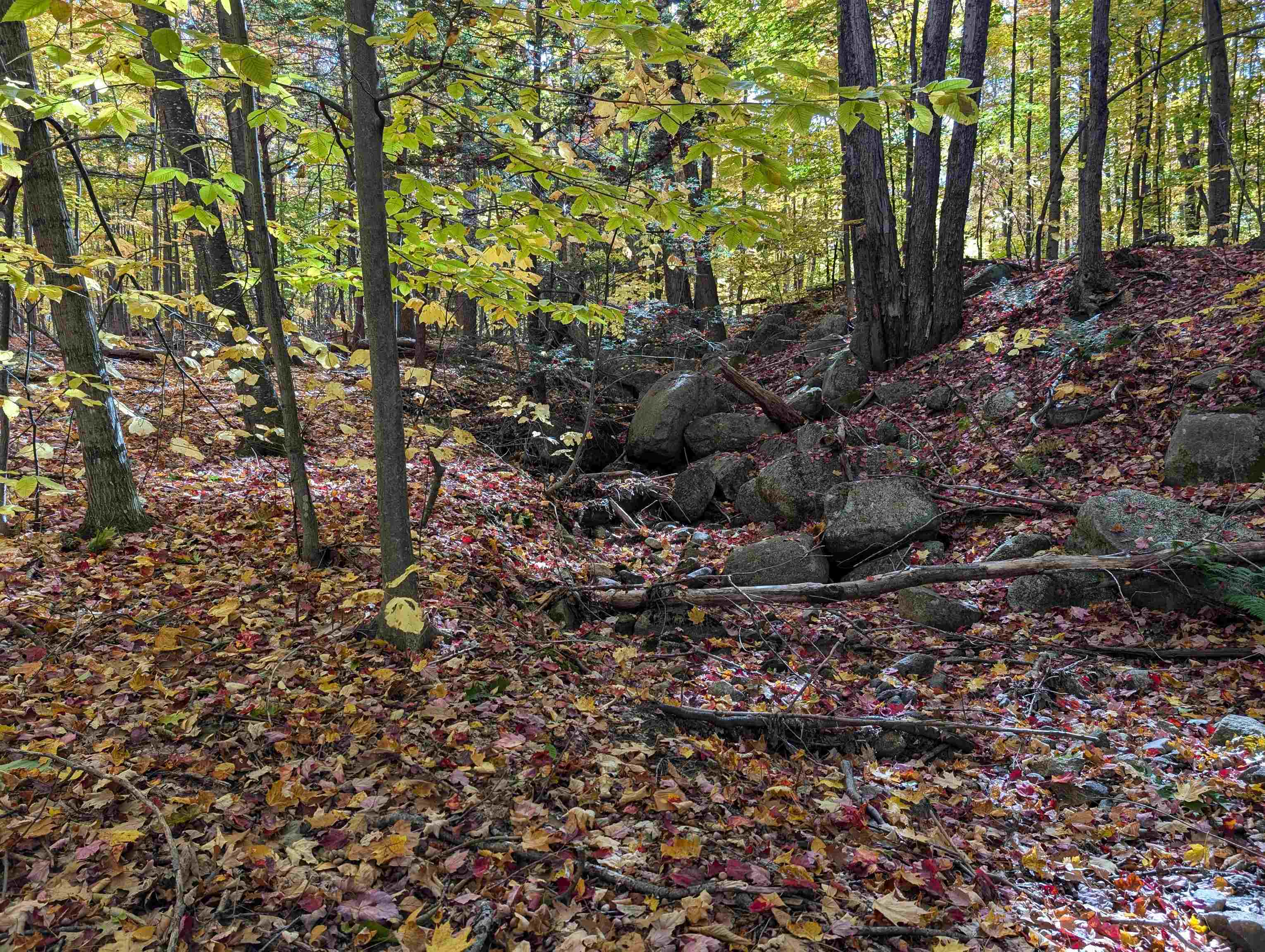 Lot 7-13 Mountain Road Property Photo 21