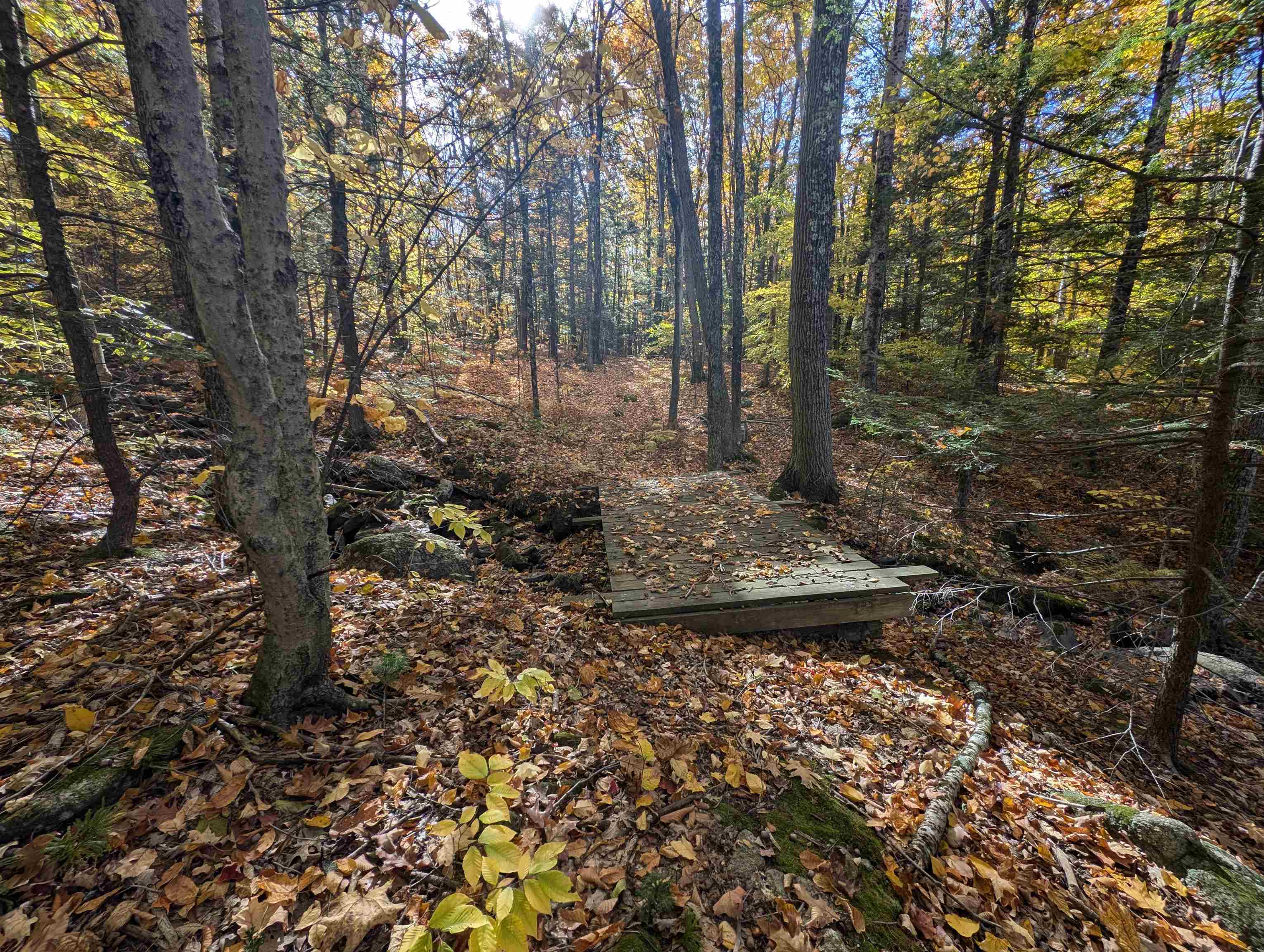 Lot 7-13 Mountain Road Property Photo 23