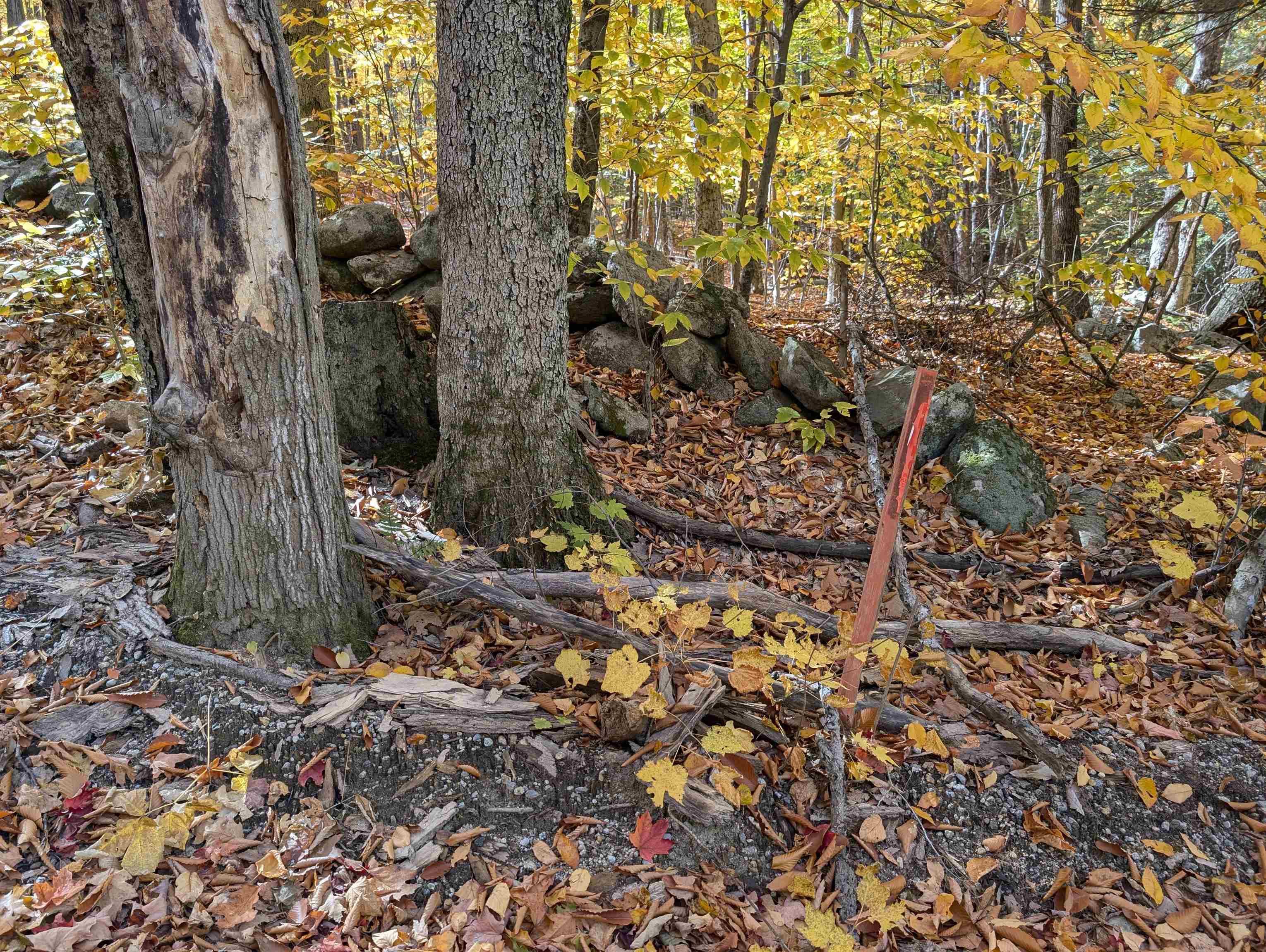 Lot 7-13 Mountain Road Property Photo 24