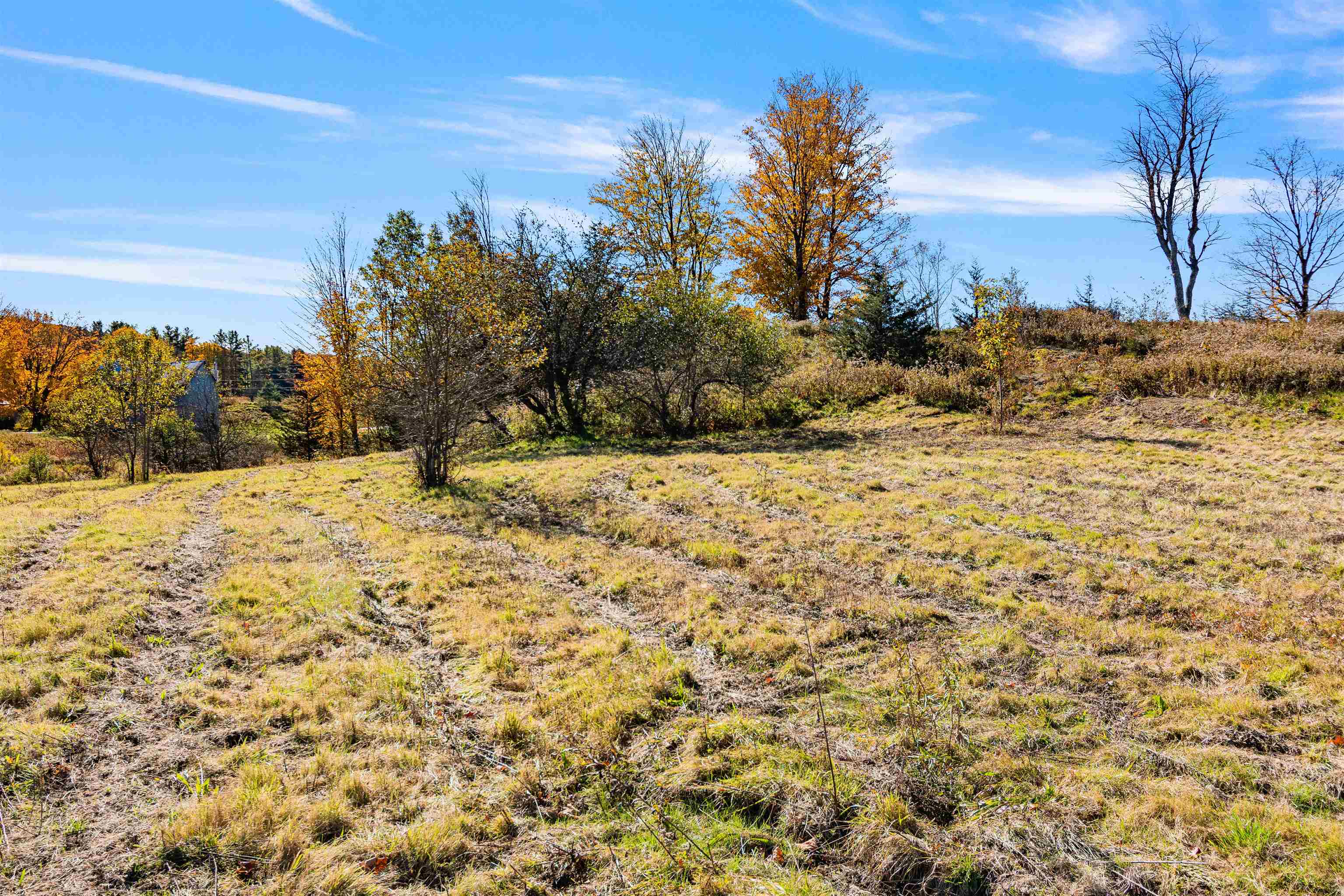 1856 South Road Property Photo 35