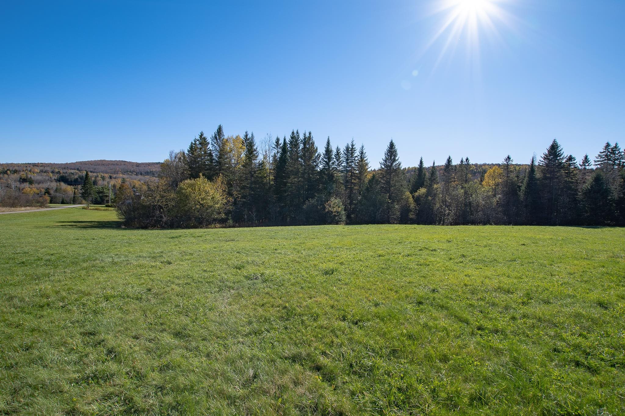 3621 Canaan Hill Road Property Photo