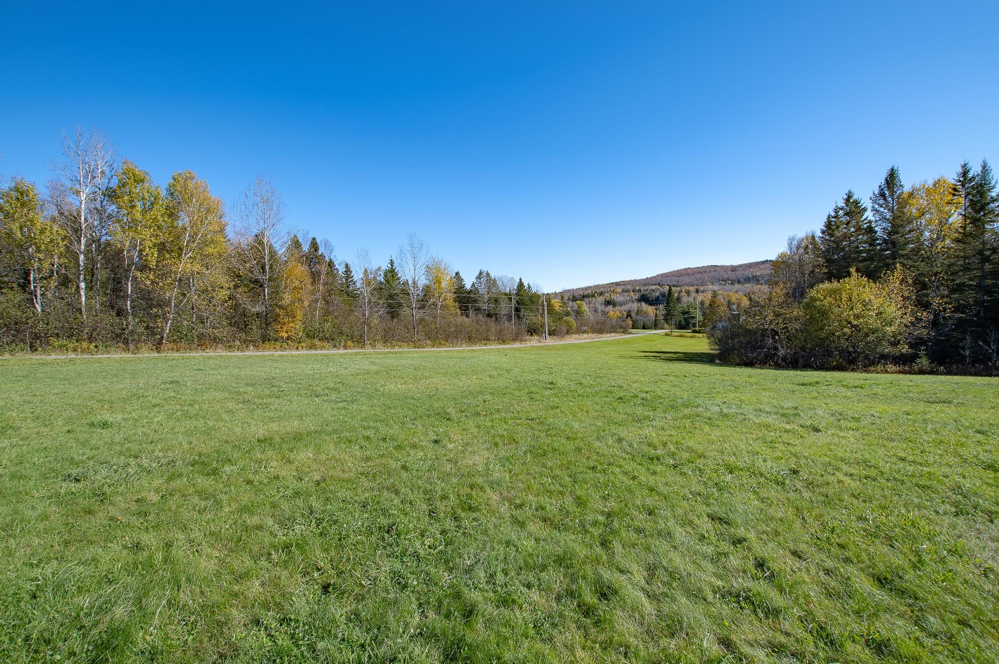 3621 Canaan Hill Road Property Photo 2