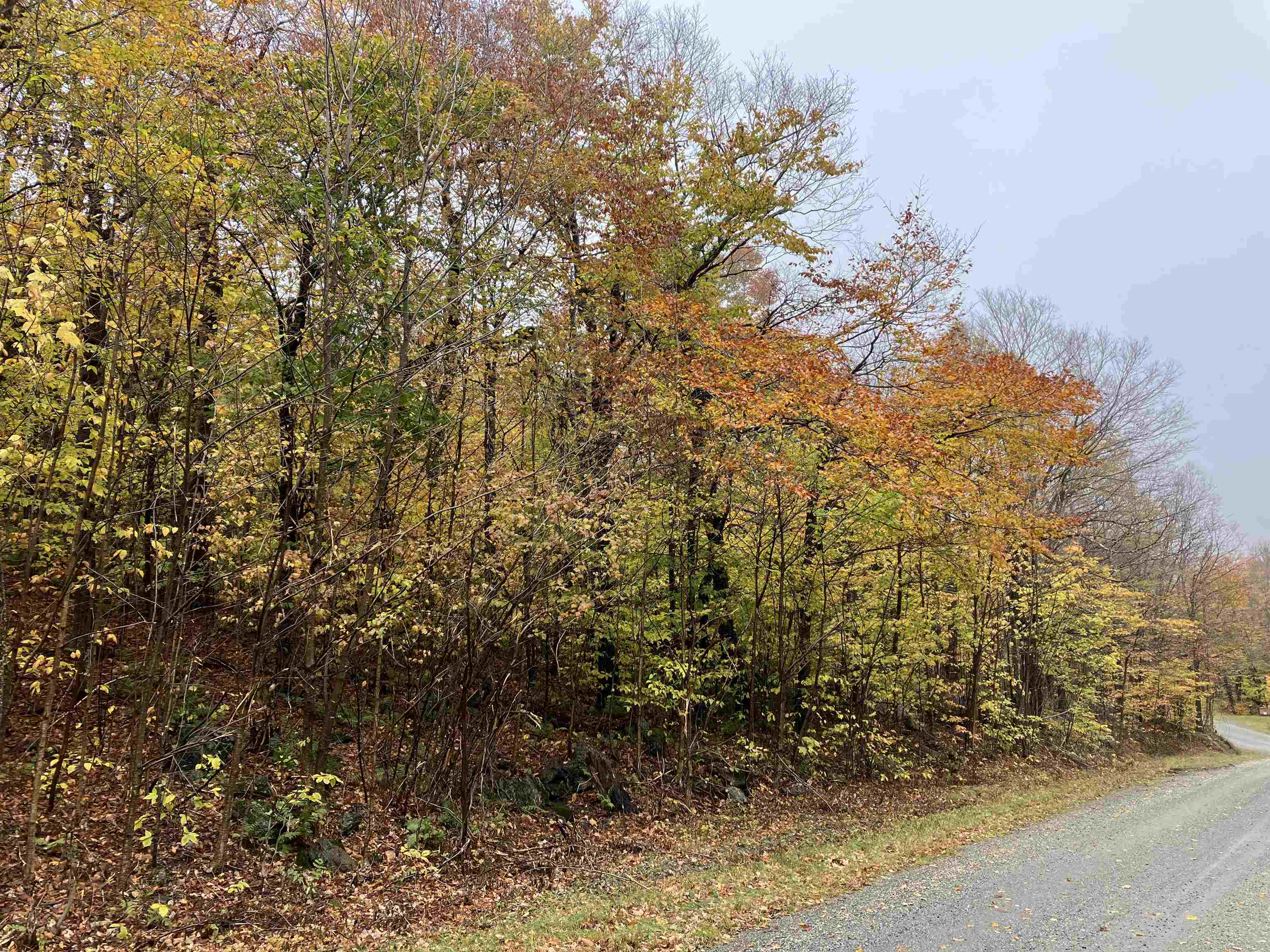 Upper Dam Road Property Photo 1