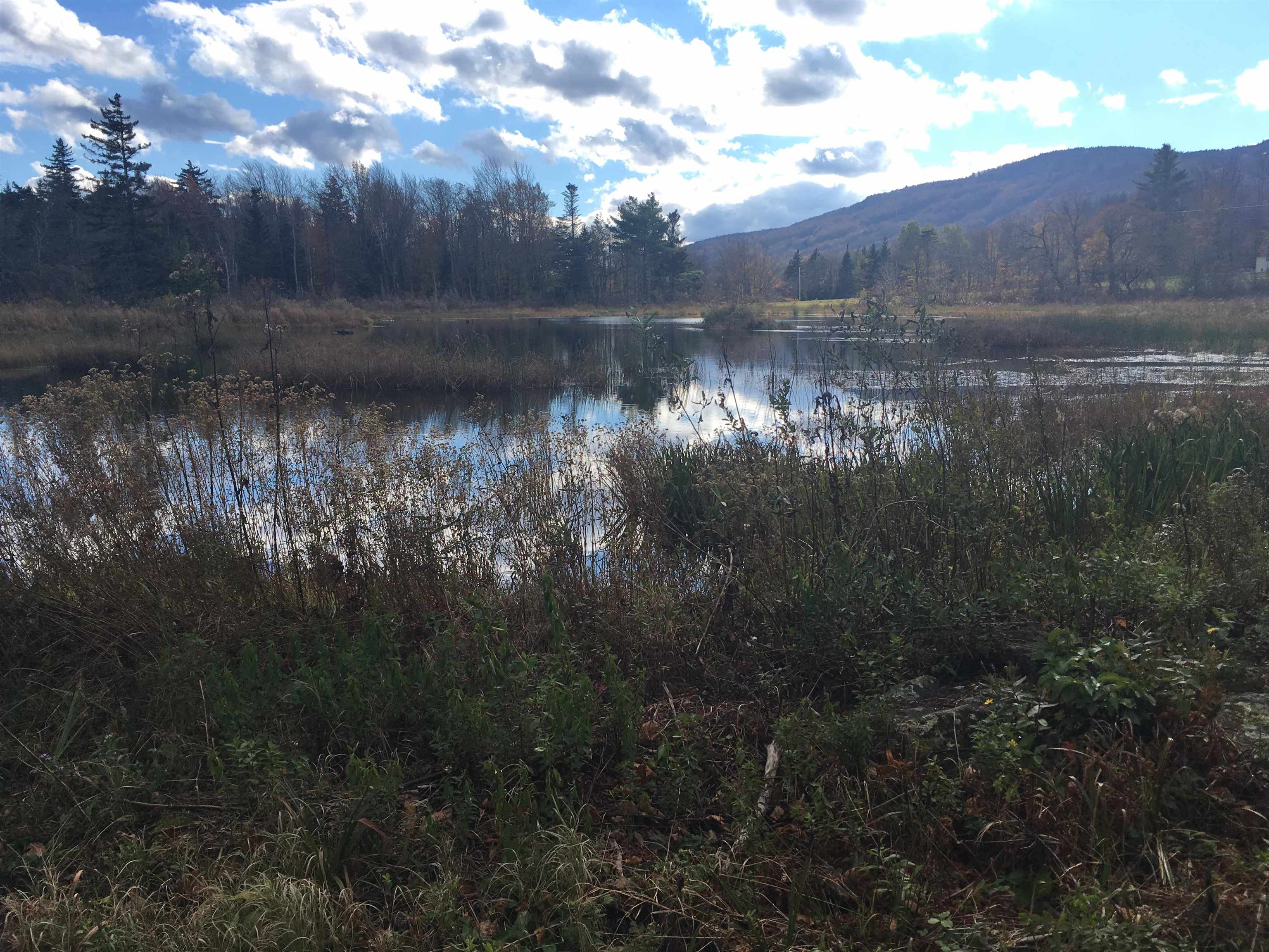 Upper Dam Road Property Photo 29