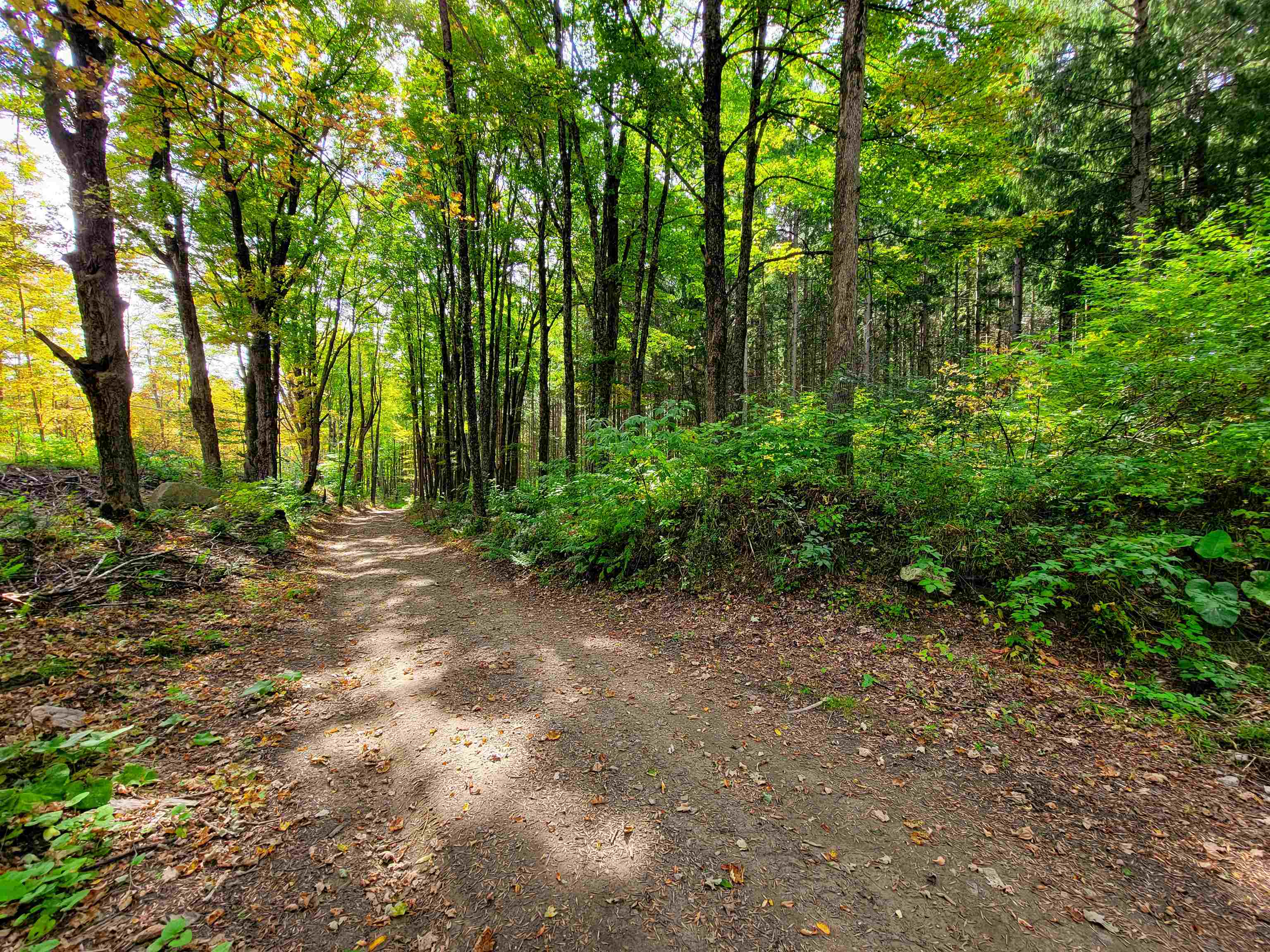 1355 Poor Farm Road Property Photo 28