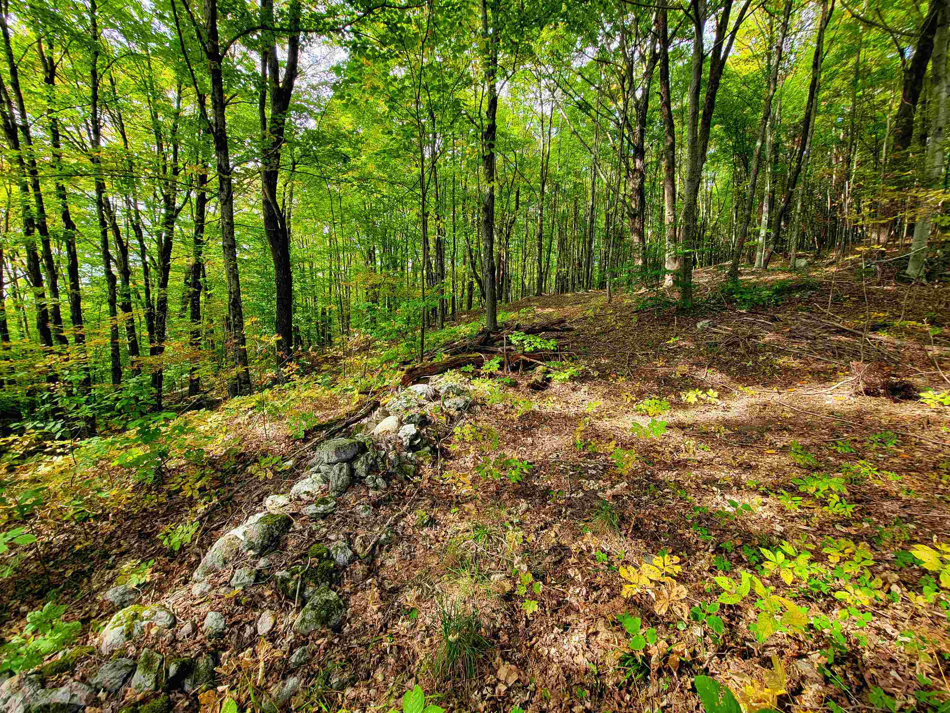 1355 Poor Farm Road Property Photo 32