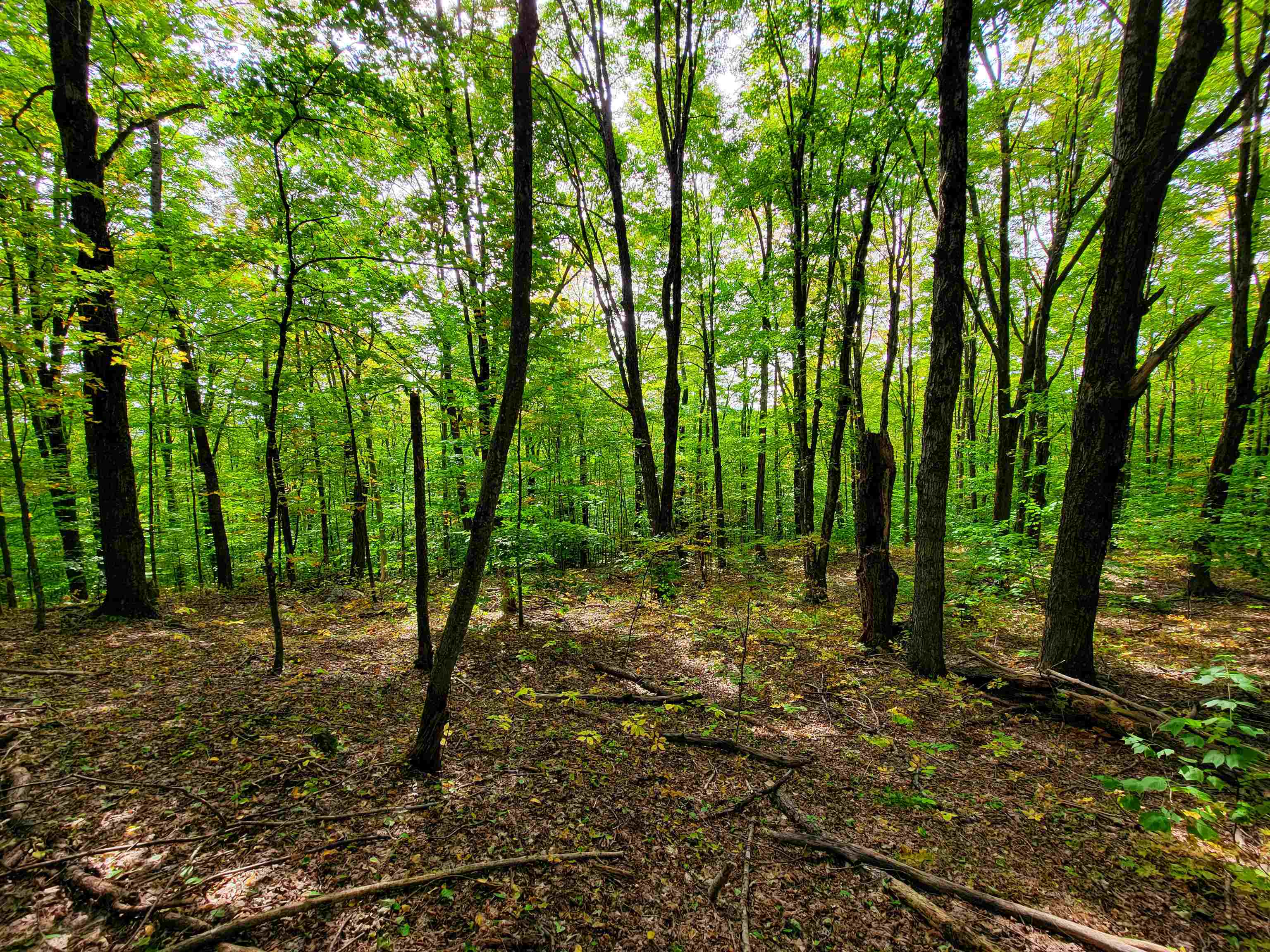 1355 Poor Farm Road Property Photo 34