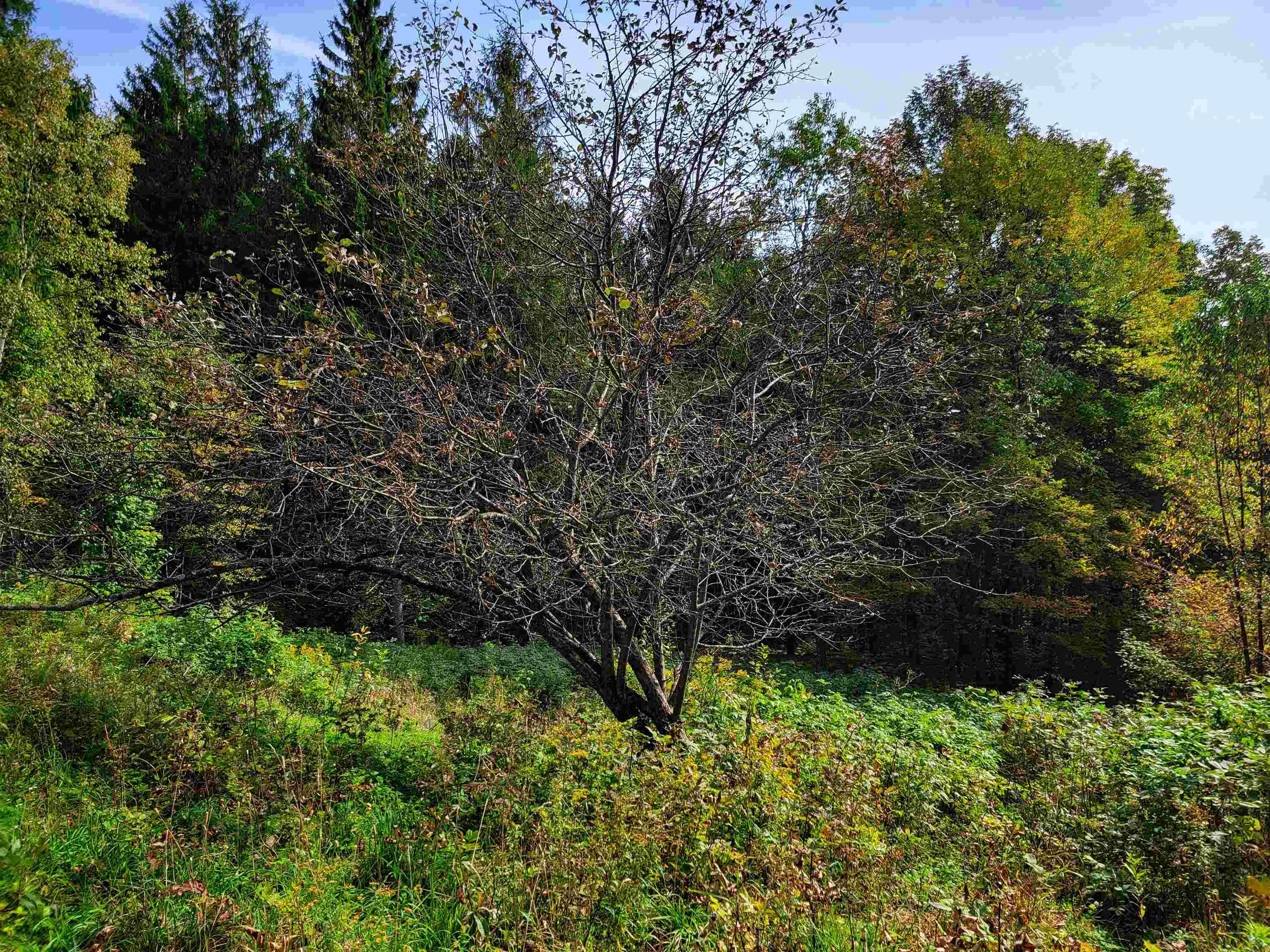 1355 Poor Farm Road Property Photo 35