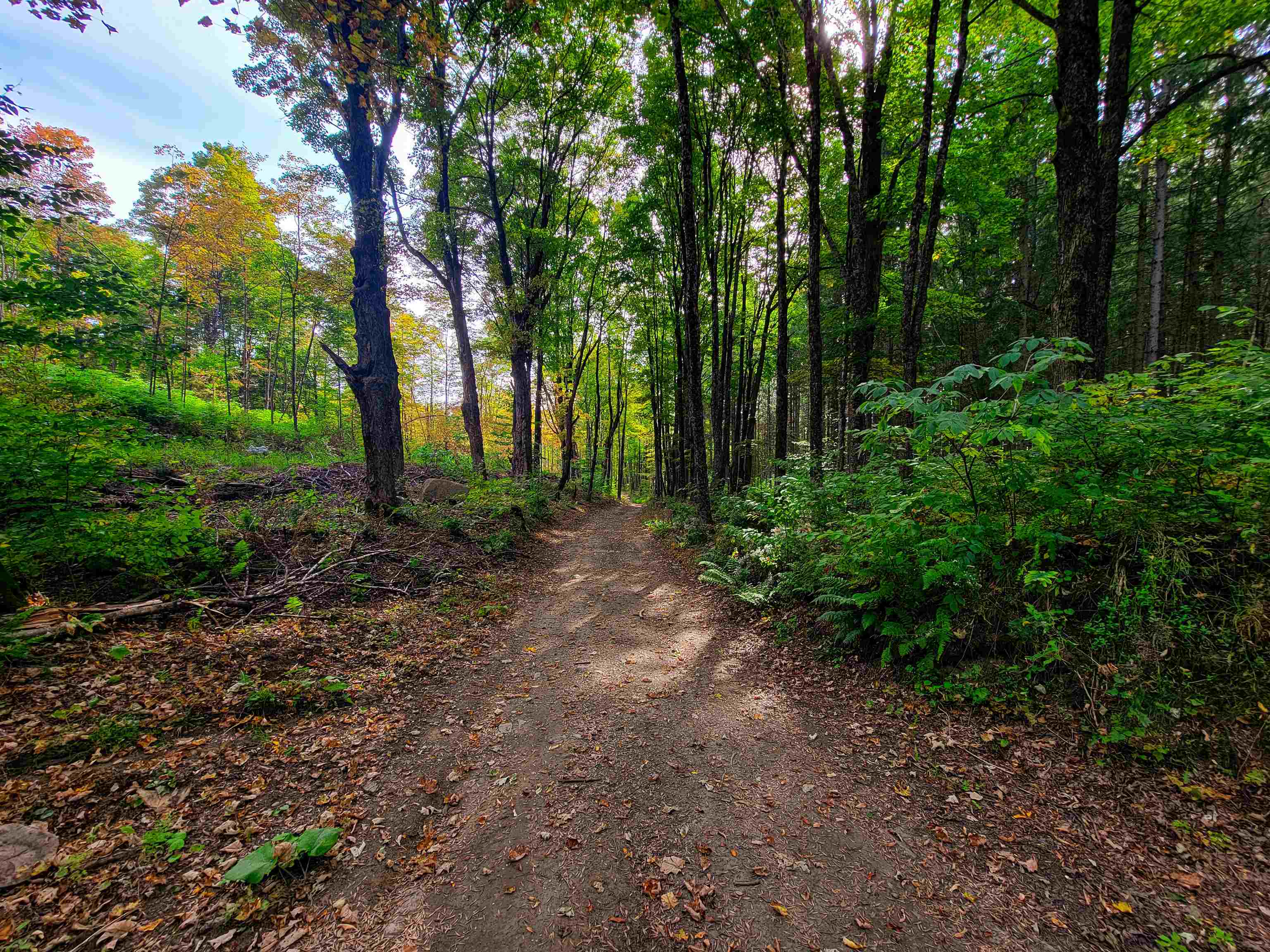 1355 Poor Farm Road Property Photo 39