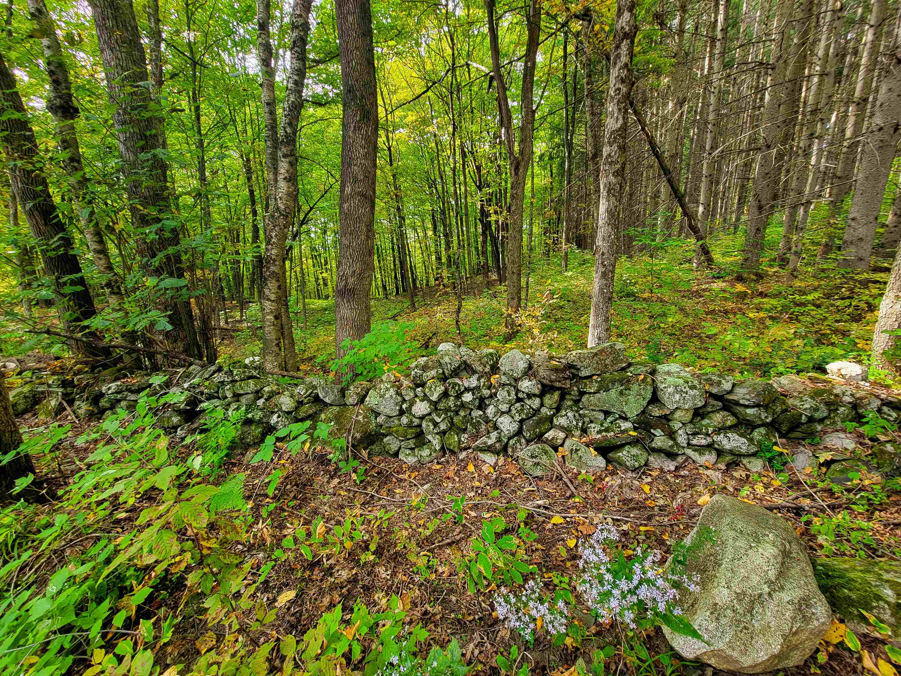 1355 Poor Farm Road Property Photo 41