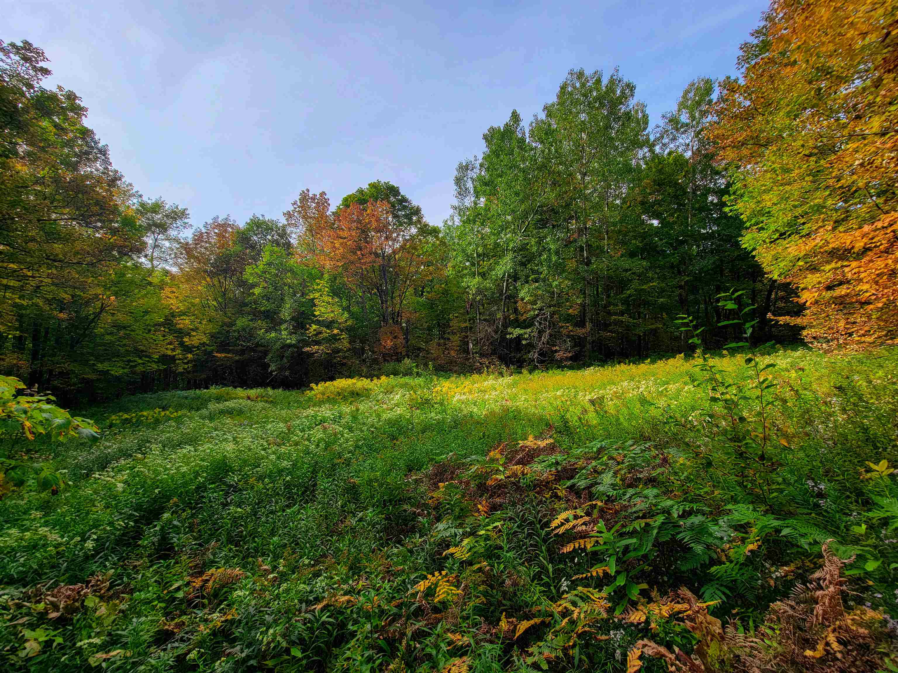 1355 Poor Farm Road Property Photo 42