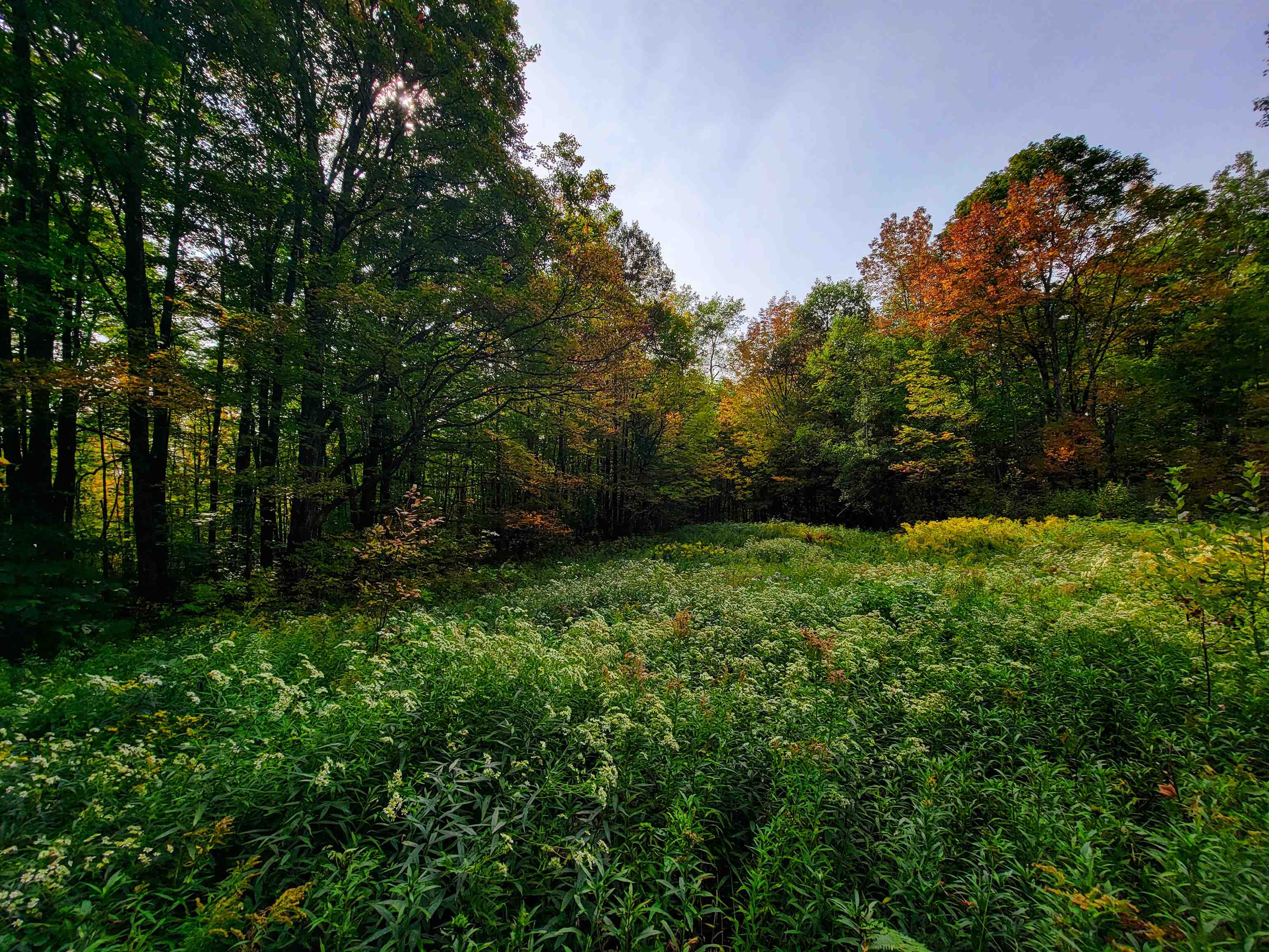 1355 Poor Farm Road Property Photo 43