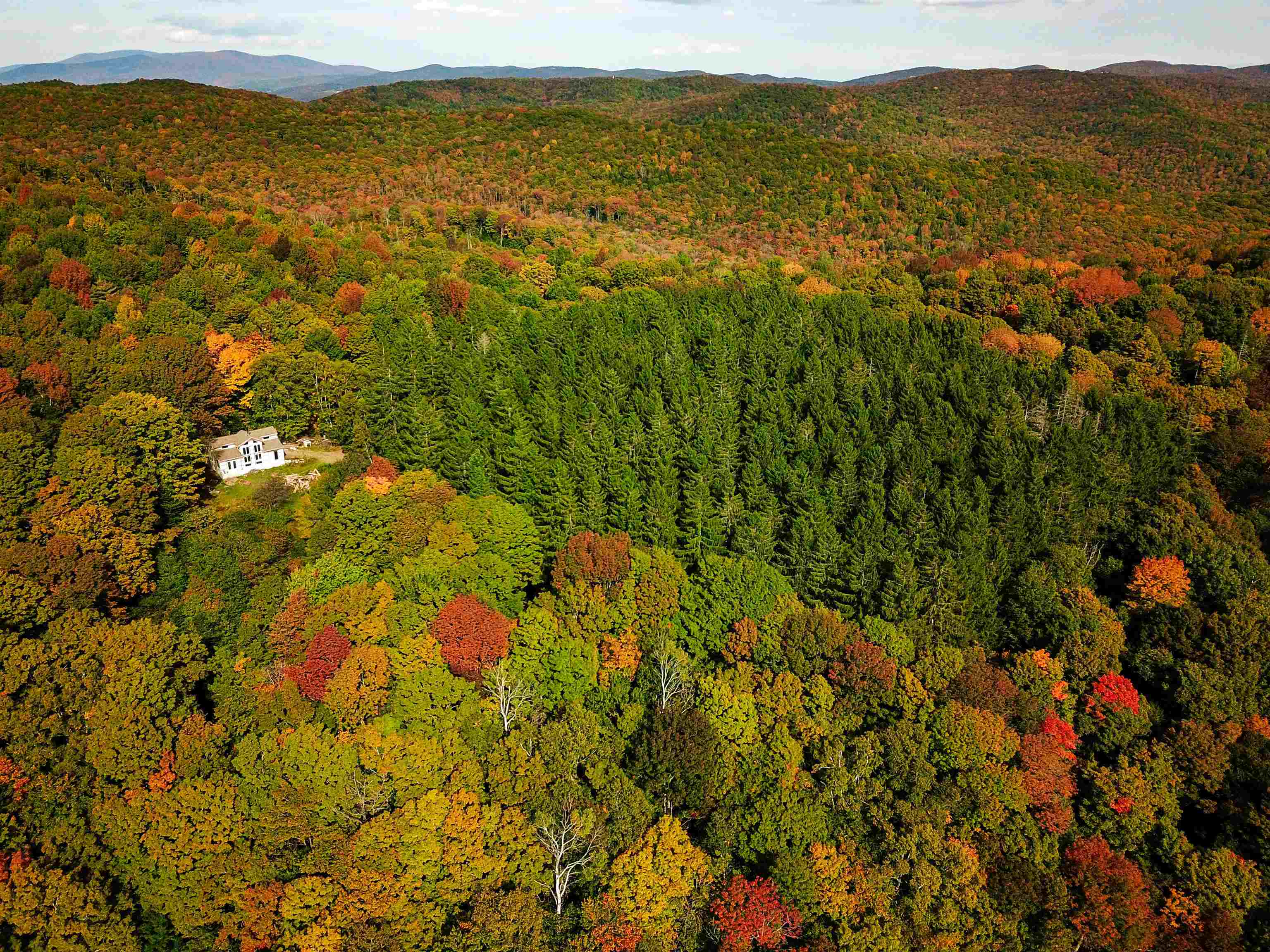 1355 Poor Farm Road Property Photo 45