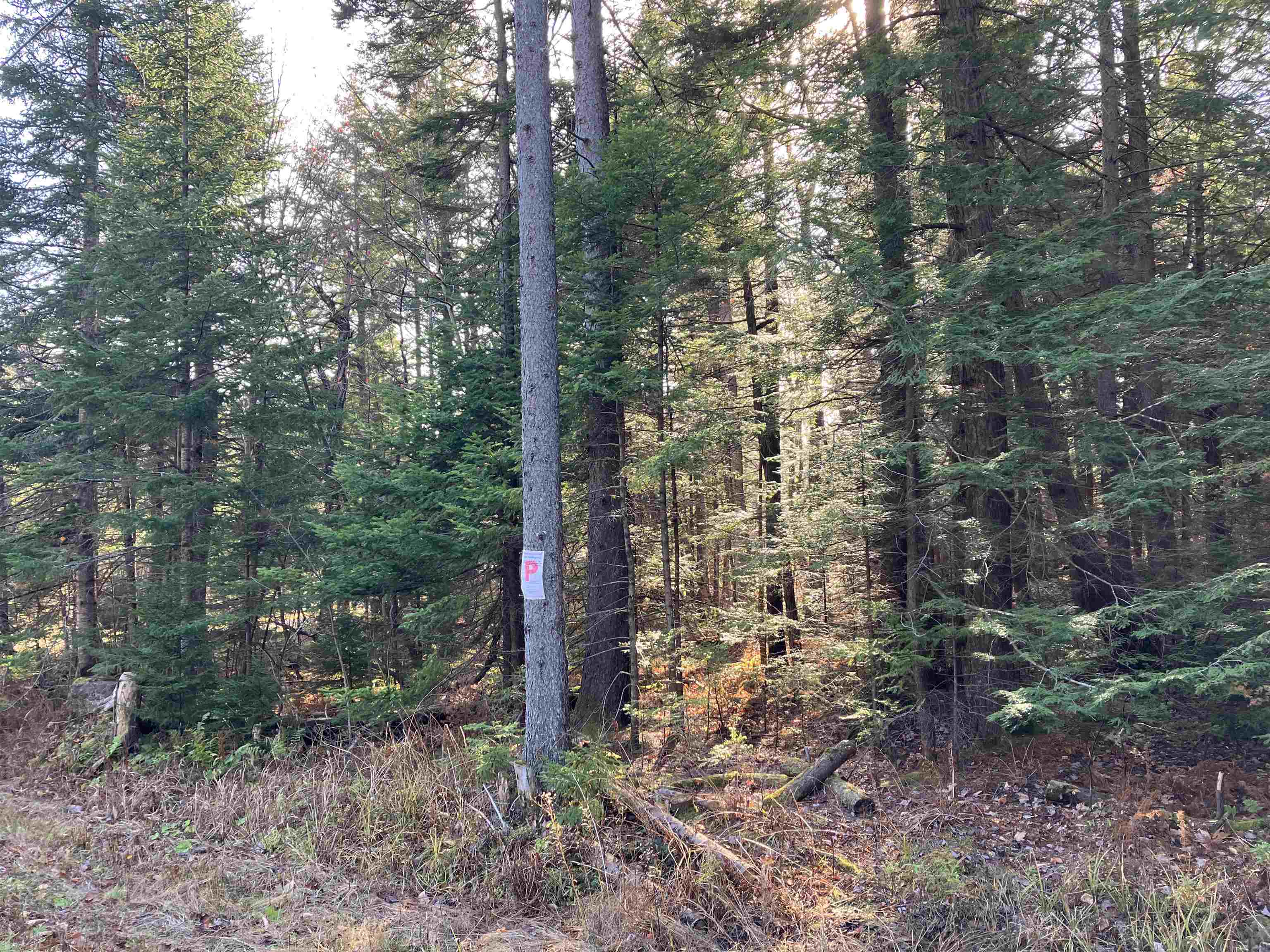 95 Chimney Hill Road Property Photo 1