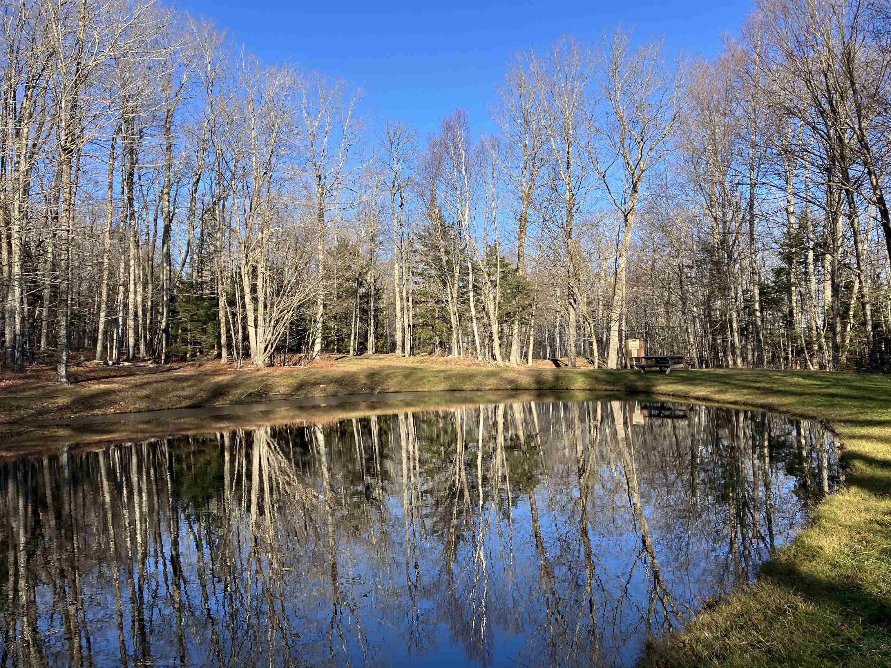 95 Chimney Hill Road Property Photo 10