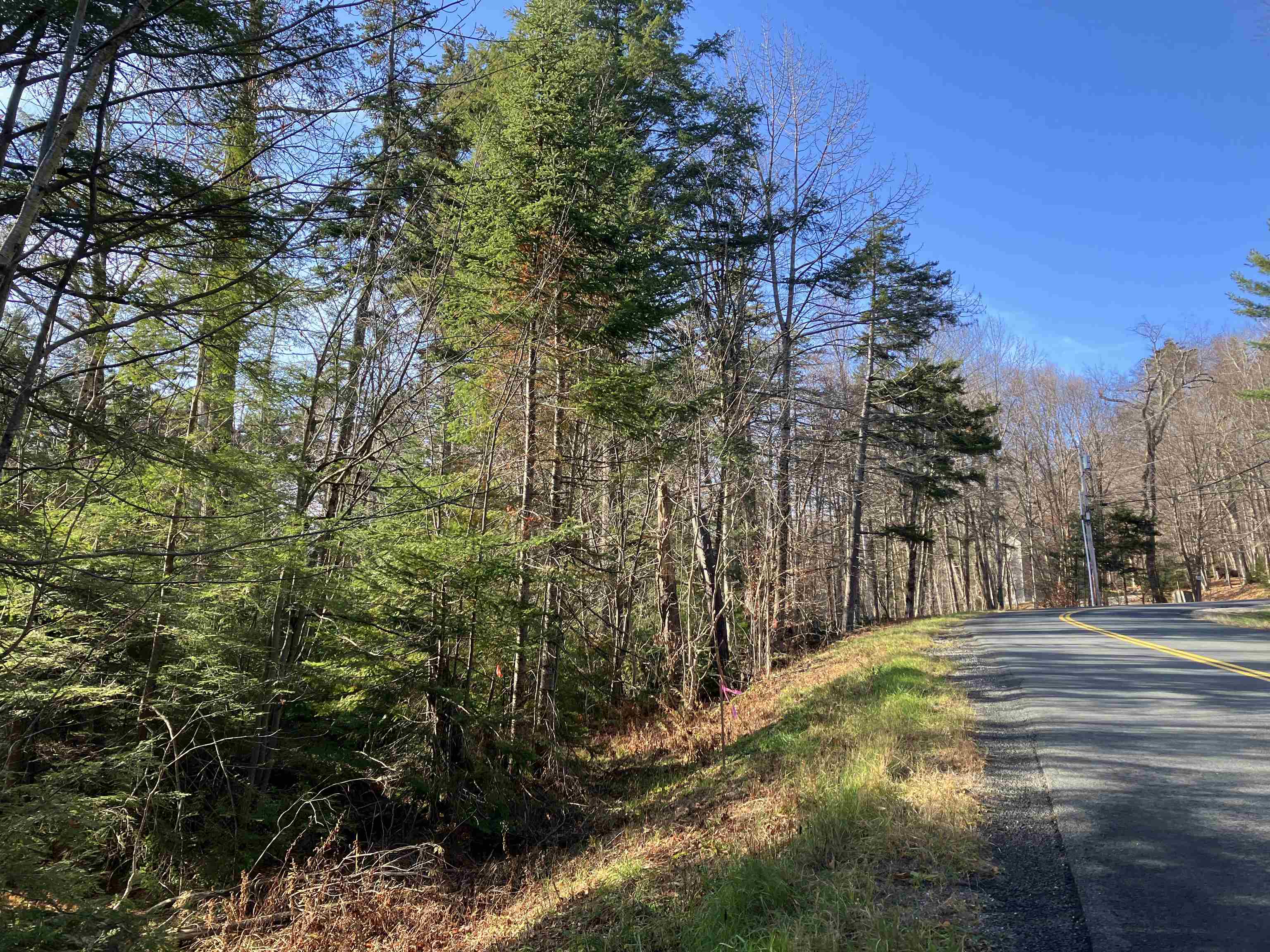 100 Chimney Hill Road Property Photo 1