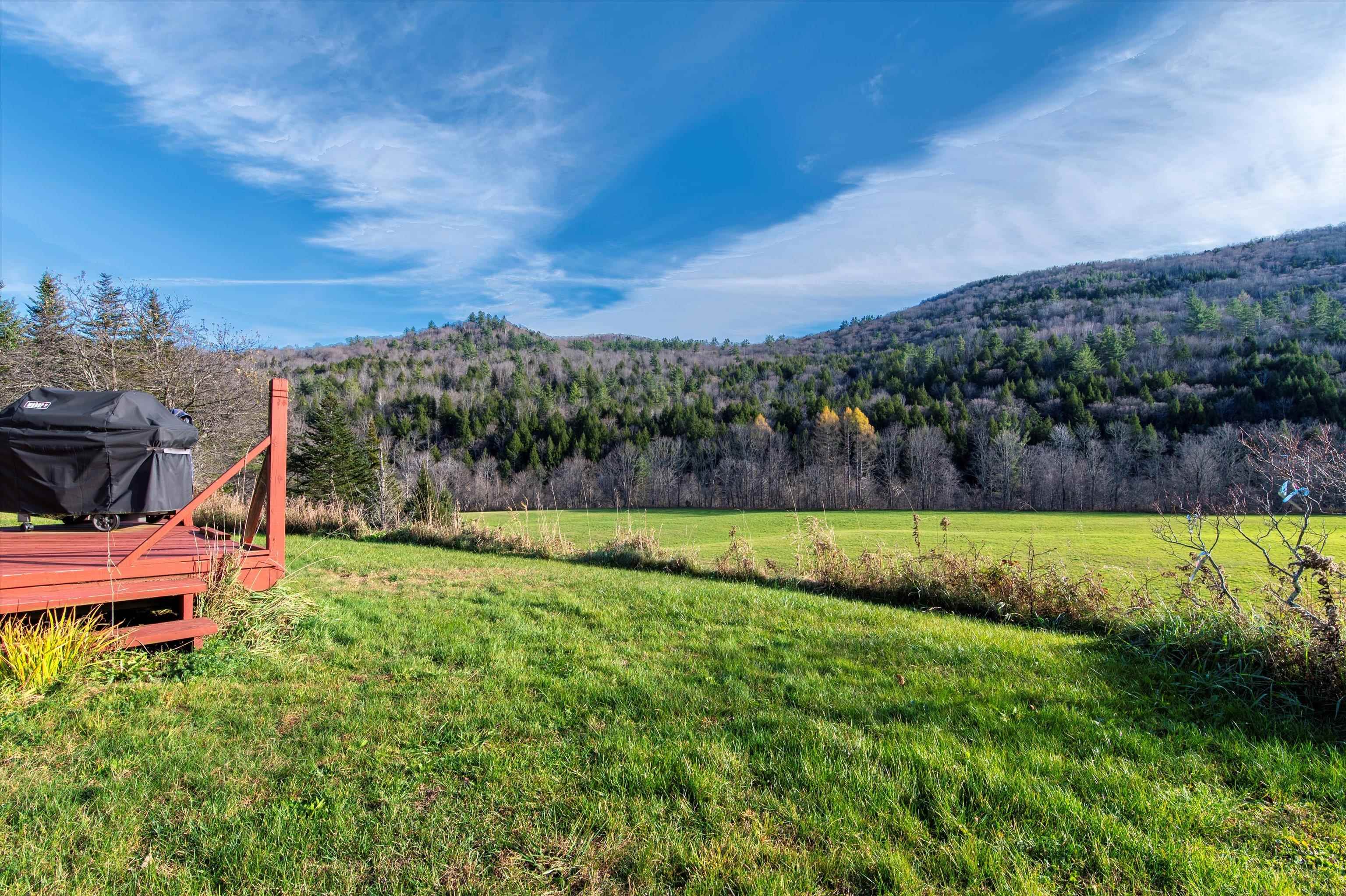 1319 Brandon Mountain Road Property Photo 46