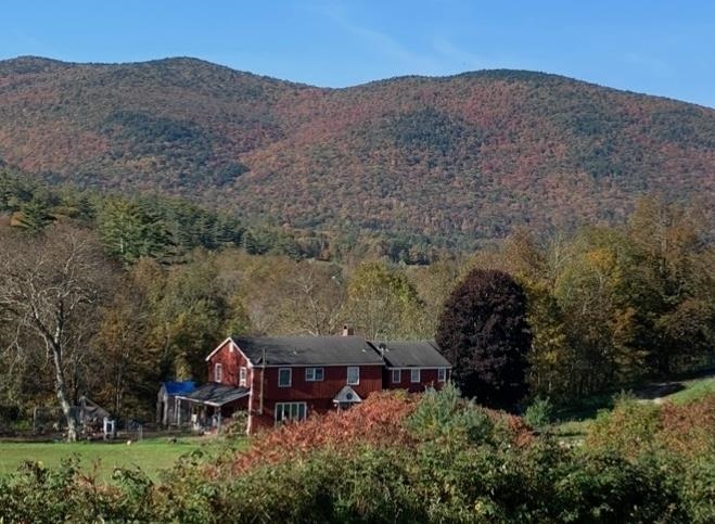 1319 Brandon Mountain Road Property Photo 47