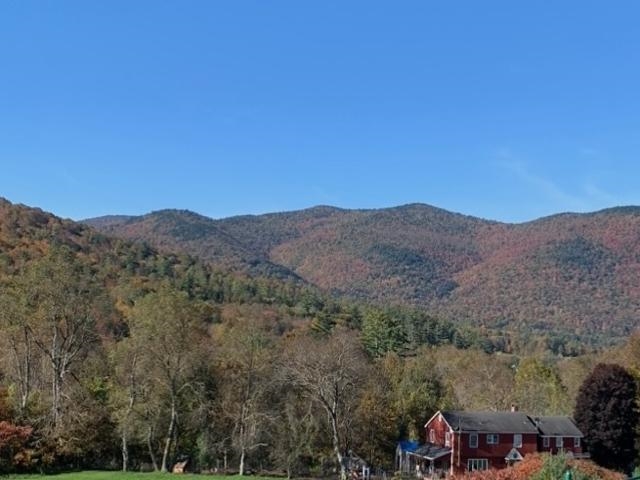 1319 Brandon Mountain Road Property Photo 54
