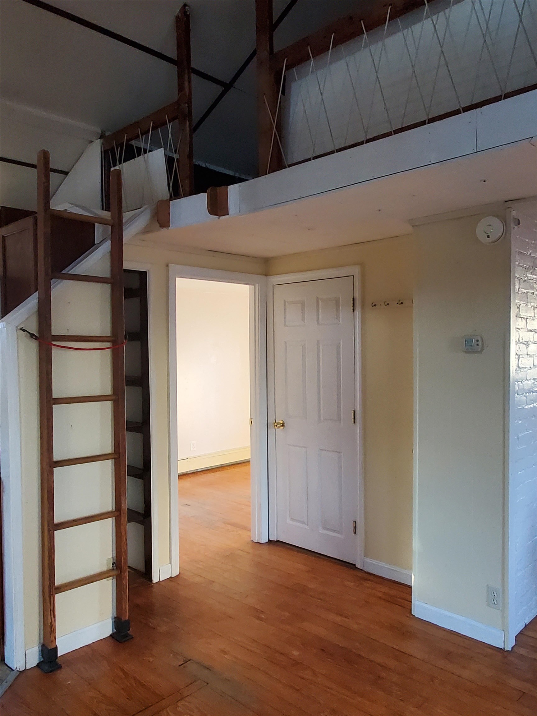 23 Thorwald Avenue Property Photo 3