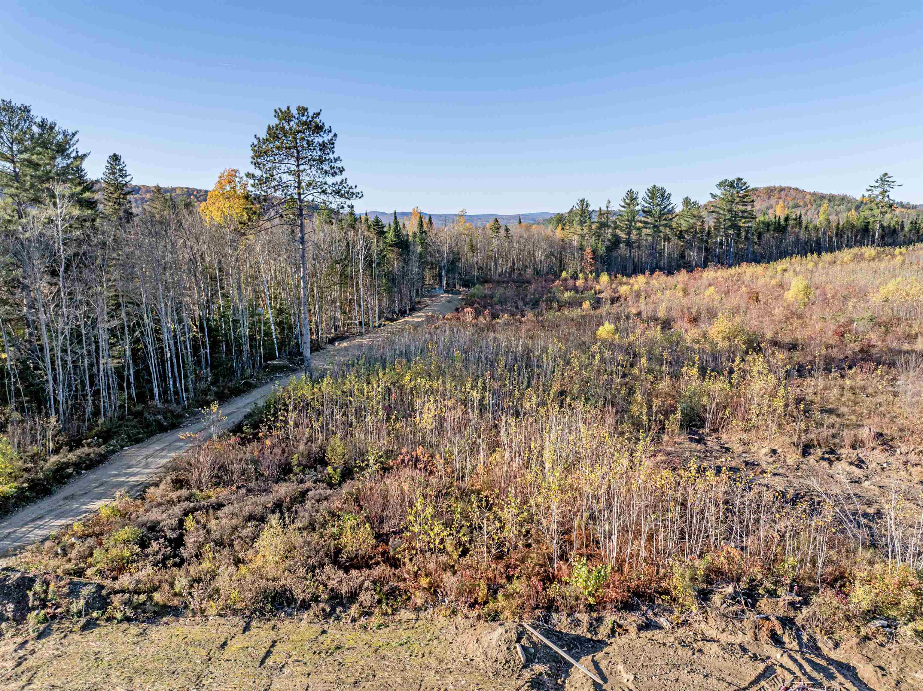 Lot 1 Mcintyre Road Property Photo 1