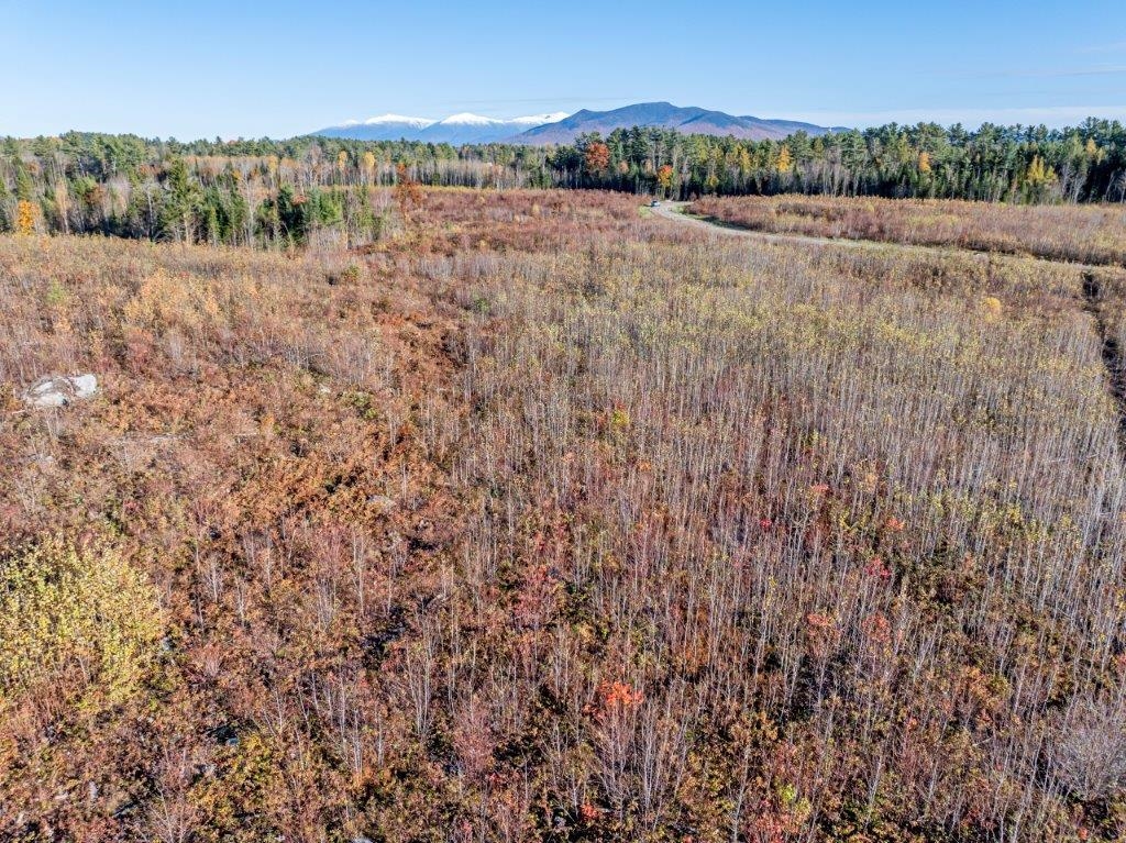 Lot 4 Mcintyre Road Property Photo 1