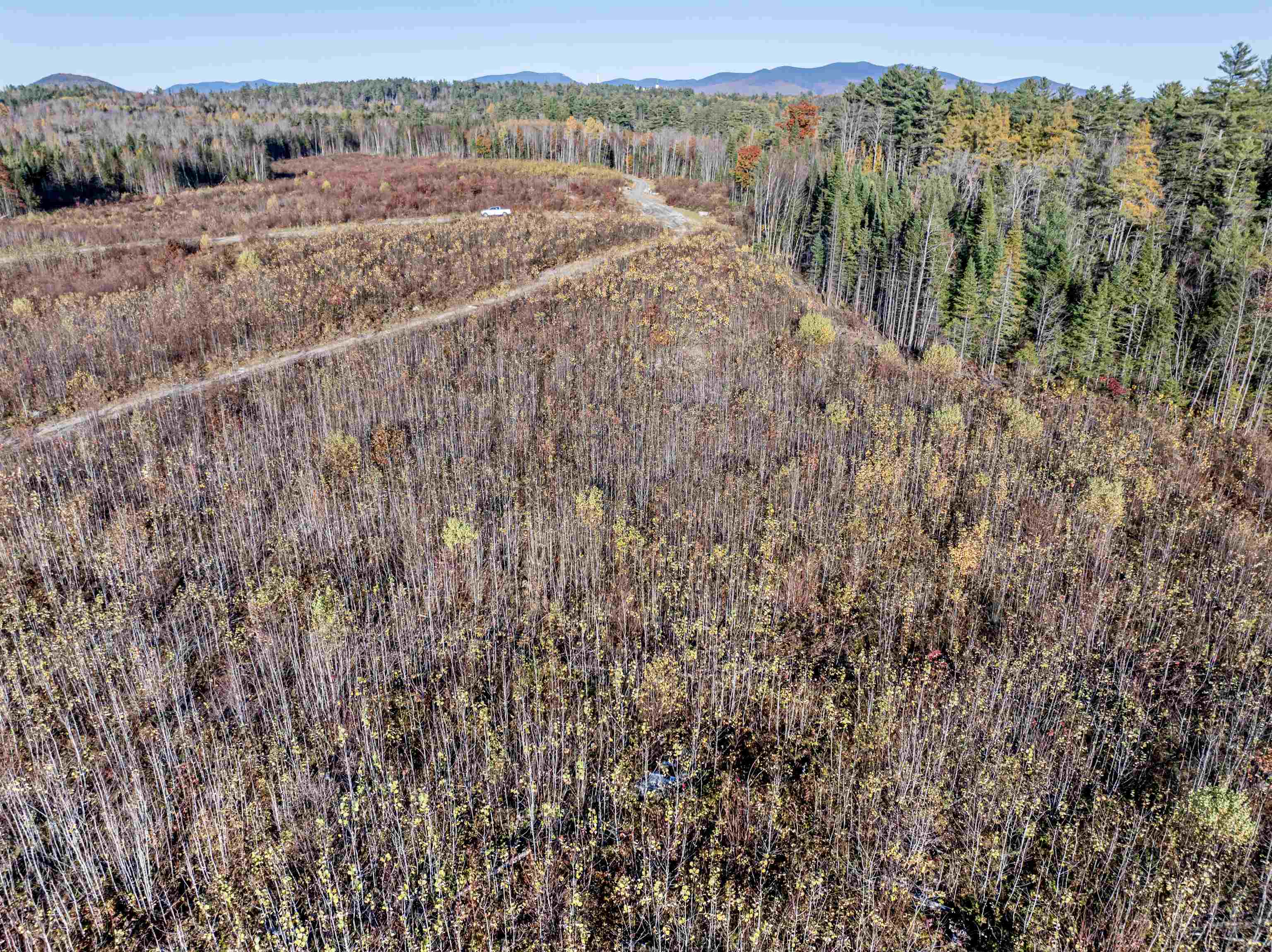 Lot 10 Mcintyre Road Property Photo 1