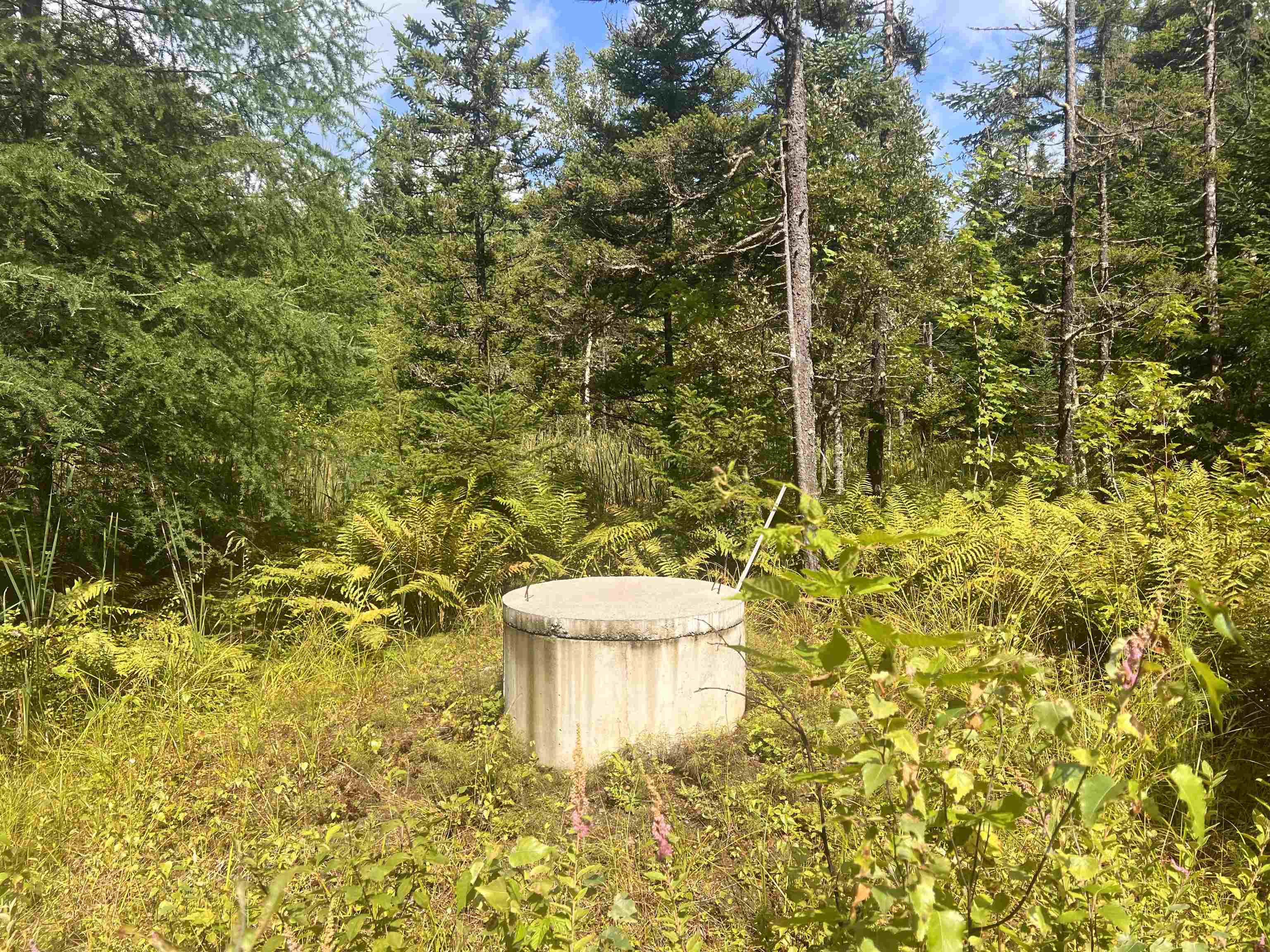 Lot 90.1 Kimball Road Property Photo 35