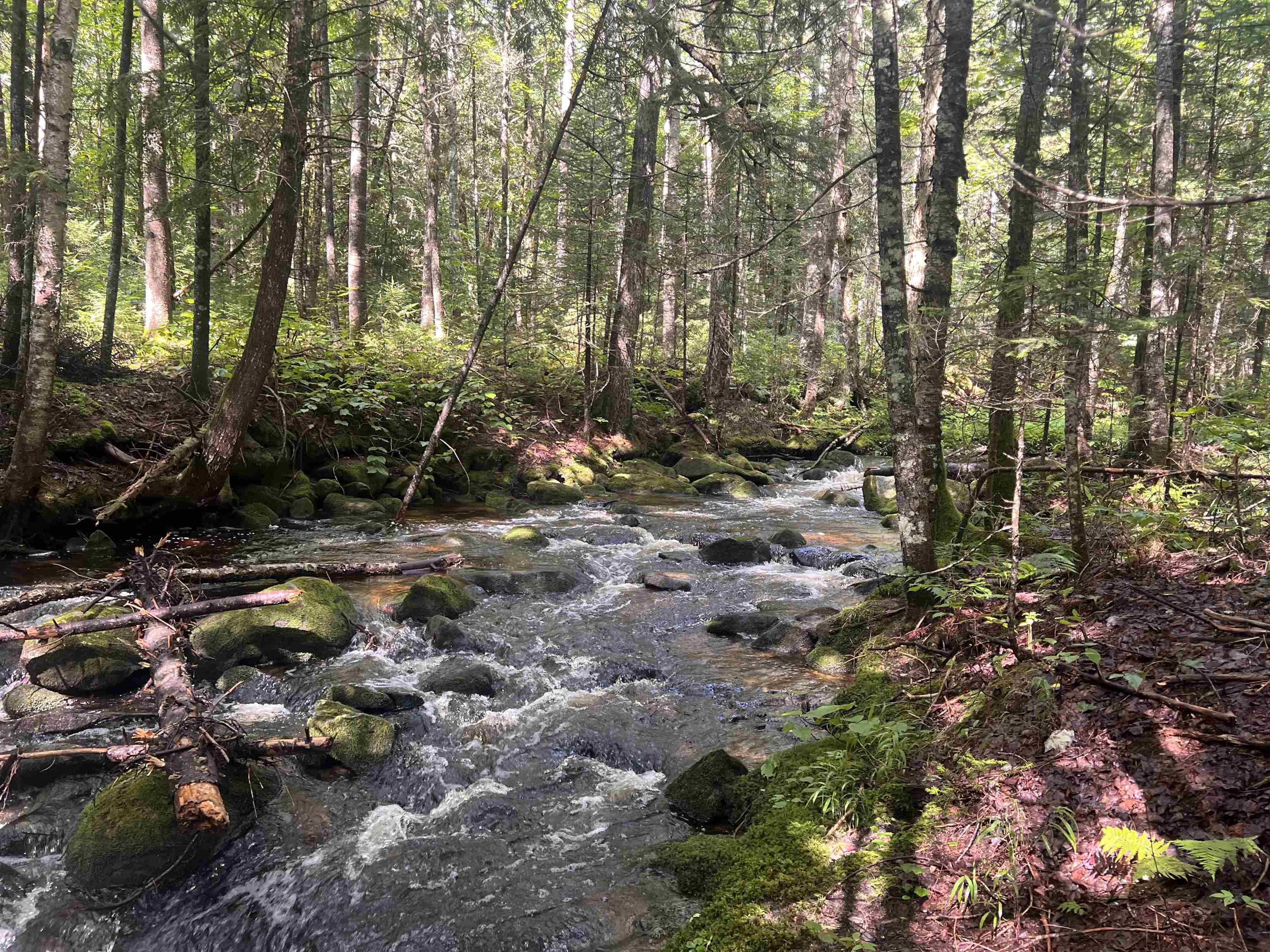 Lot 90.1 Kimball Road Property Photo 36