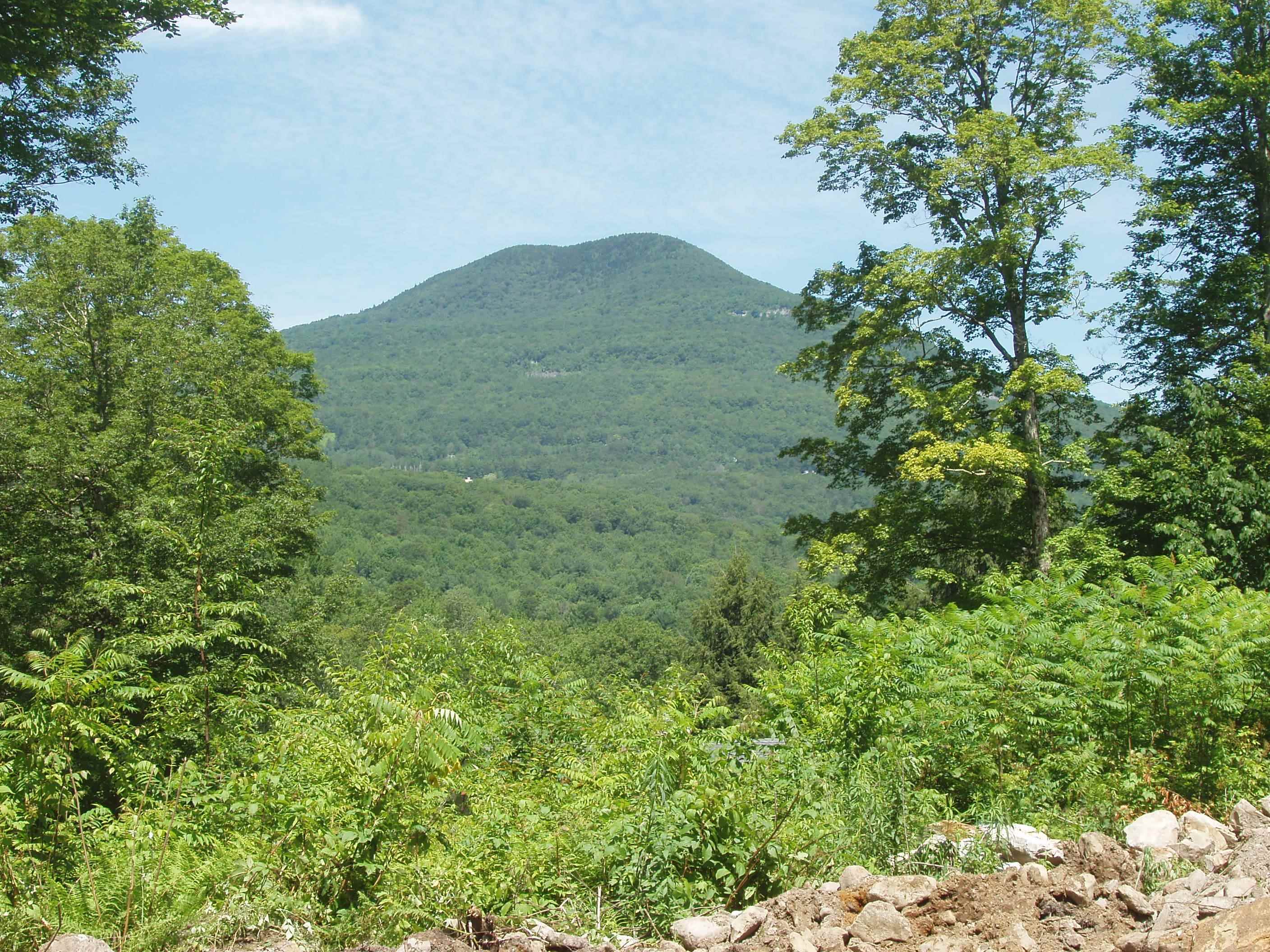 00 Finbar's Forest Road Property Photo 1