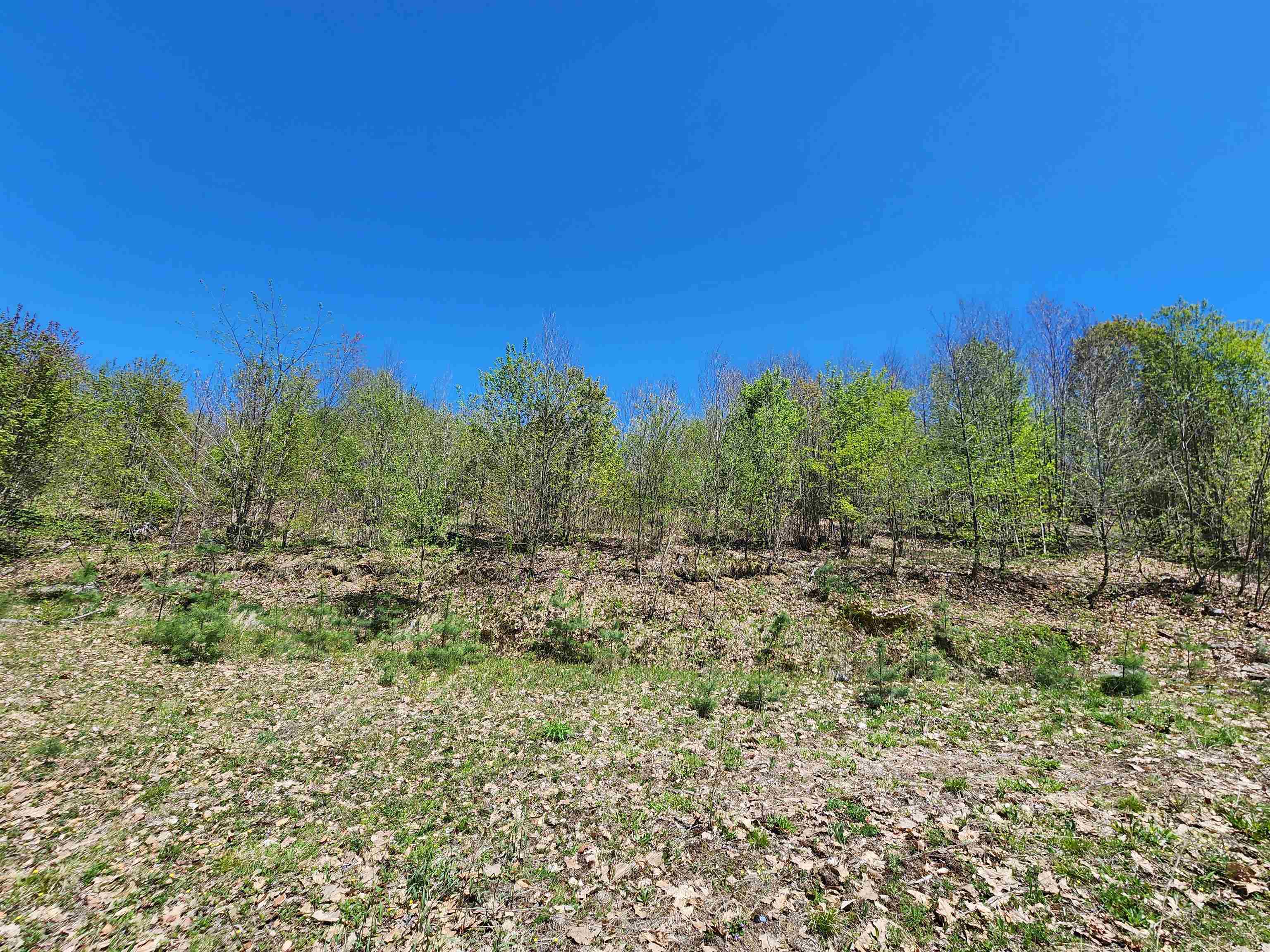 000 Green Mountain Turnpike Property Photo 10