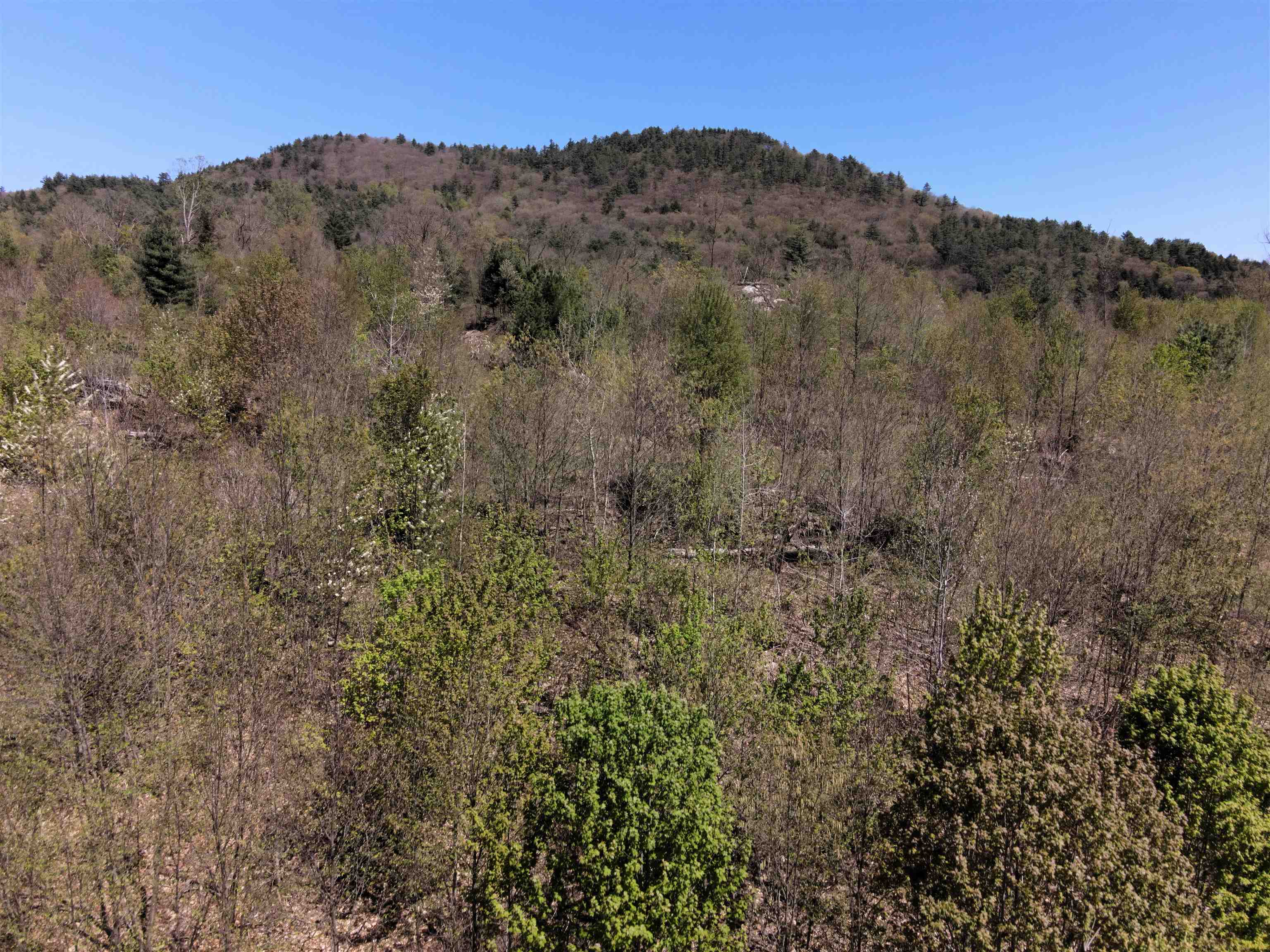 000 Green Mountain Turnpike Property Photo 19