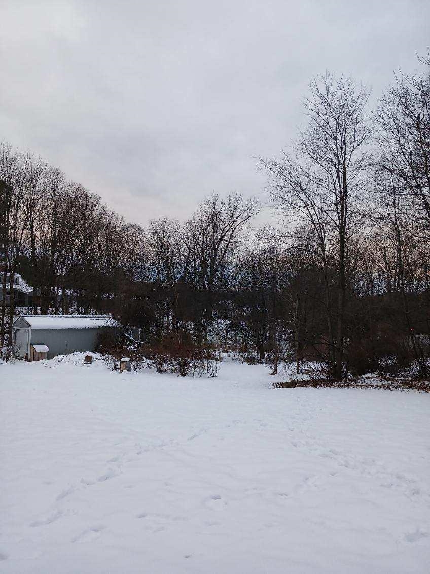 19 Bible Hill Road Property Photo 12