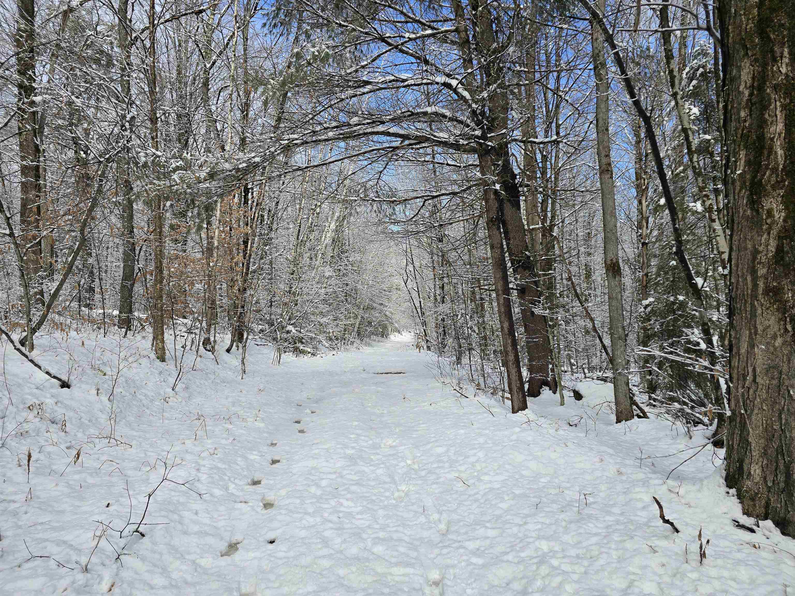 0 Magee Road Property Photo