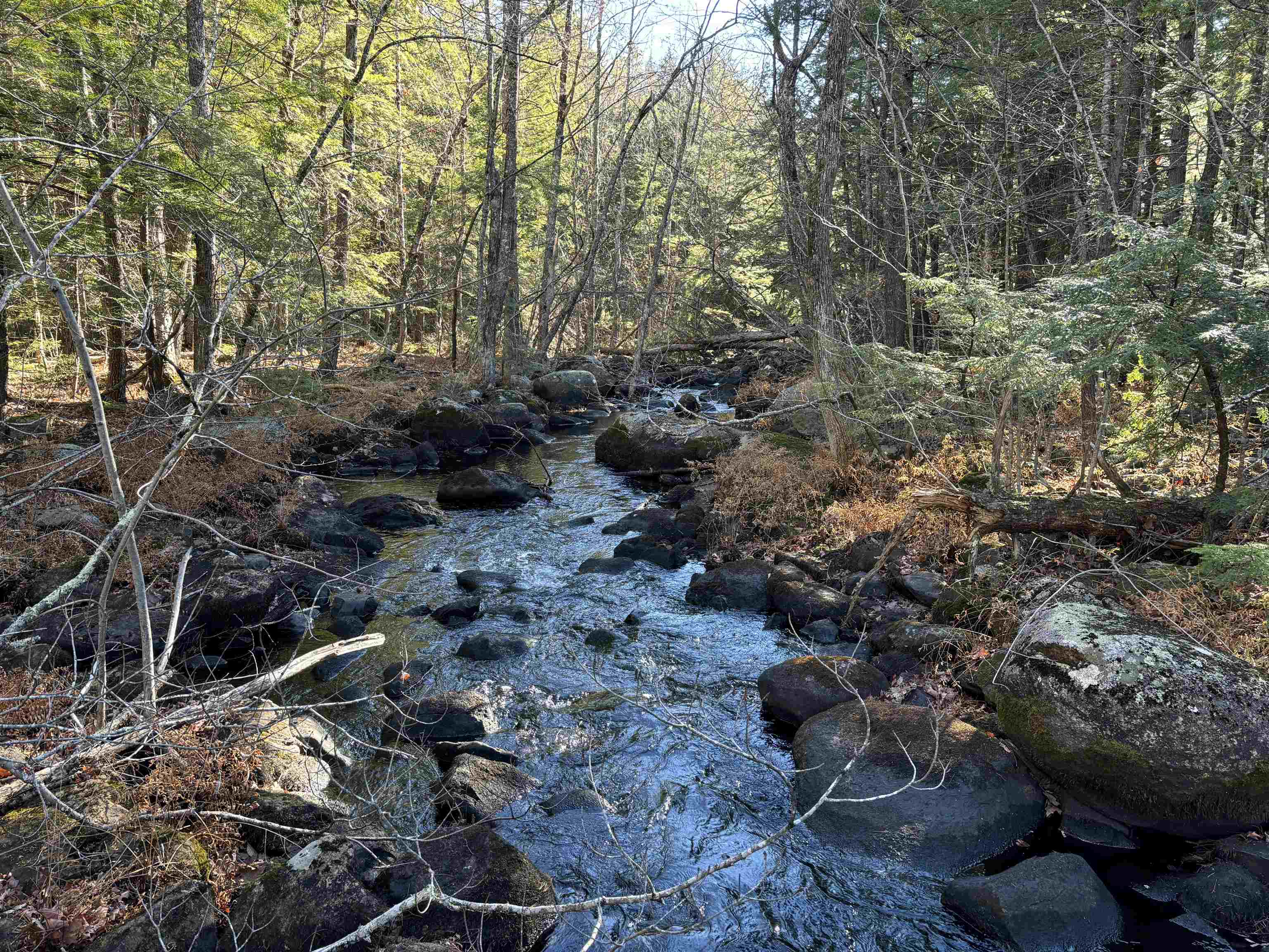 481 Chocorua Mountain Highway
