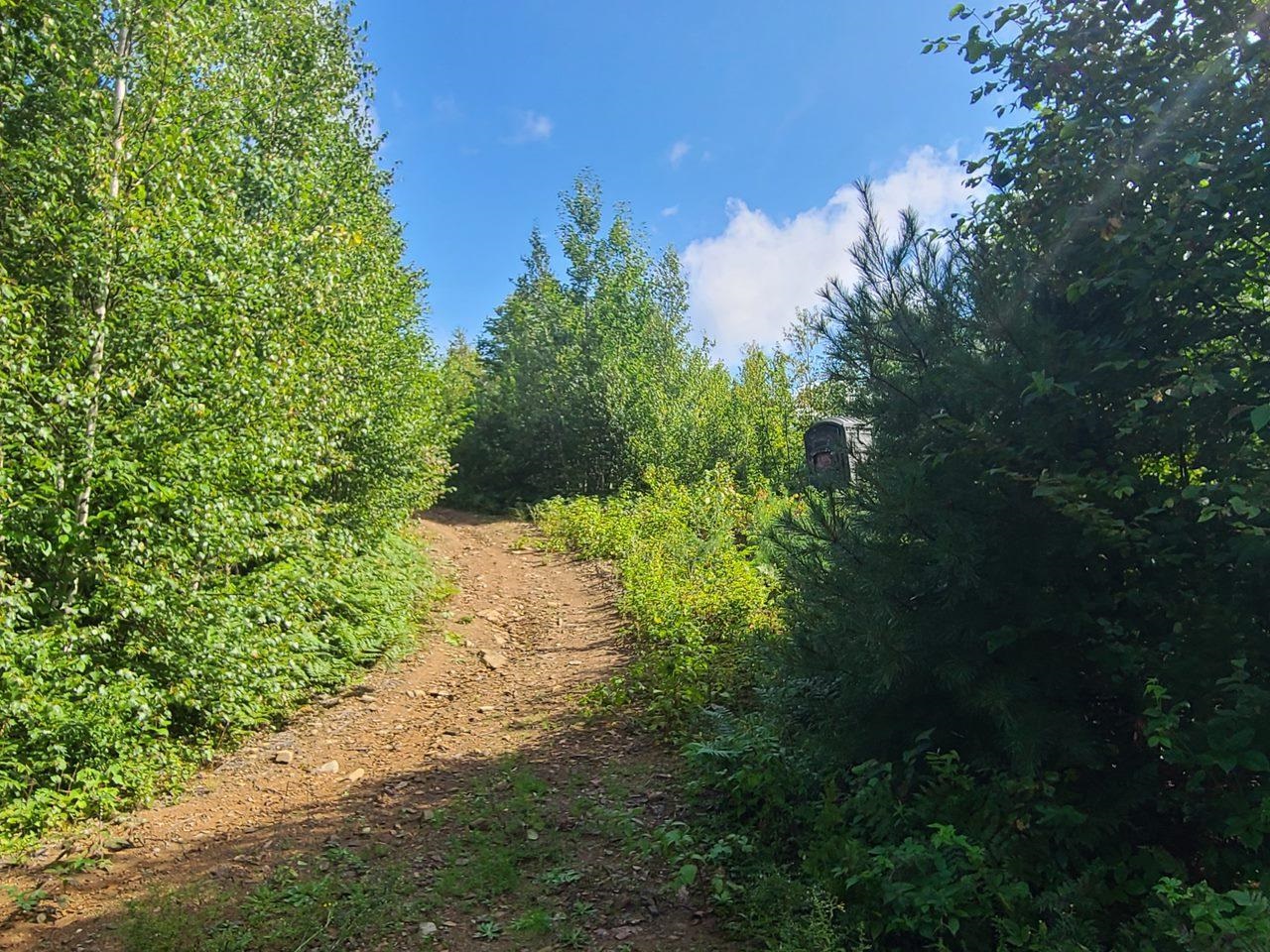 1501 Eligo Lake Road Property Photo 1