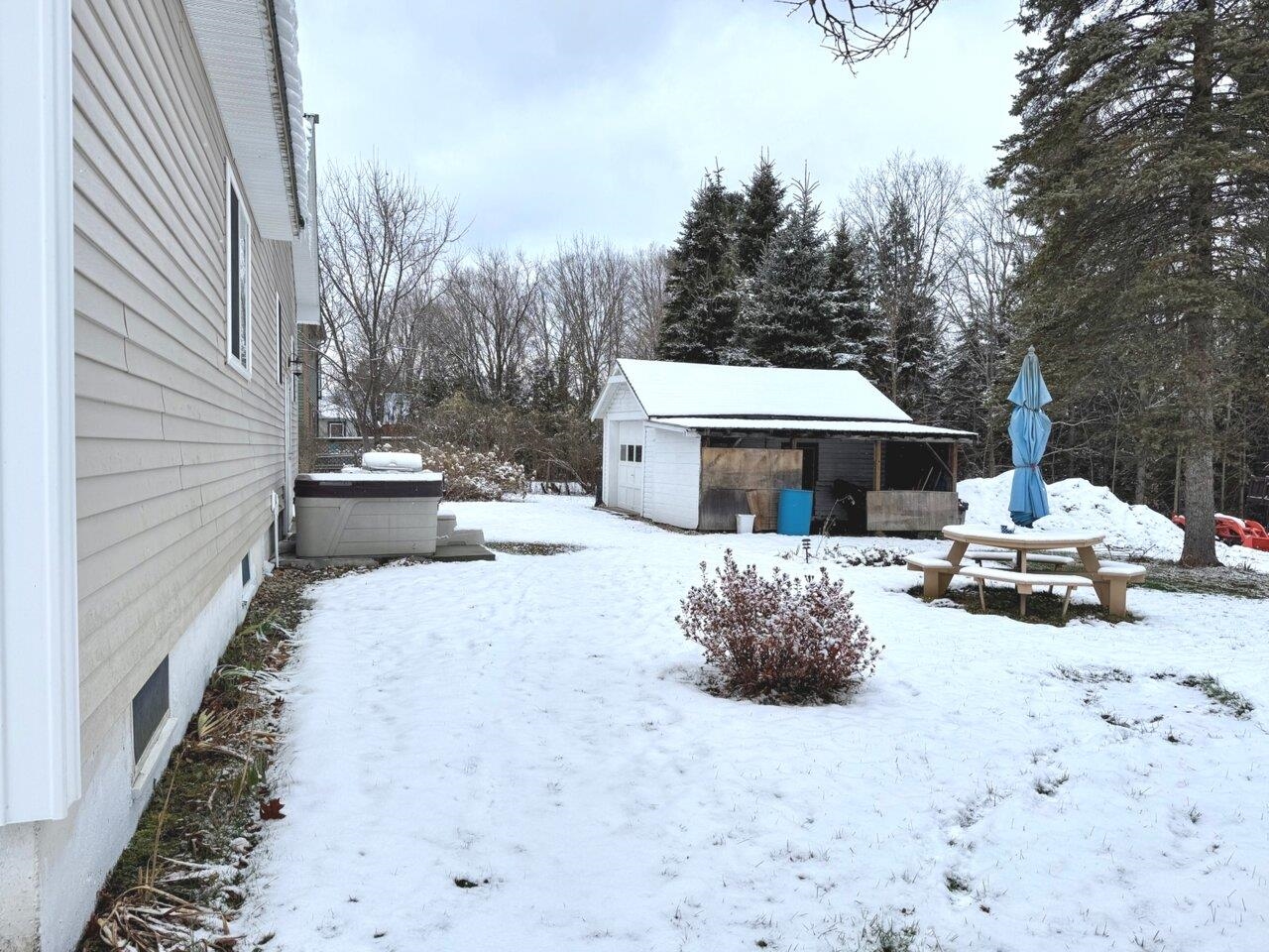 86 Wilkins Street Property Photo 37