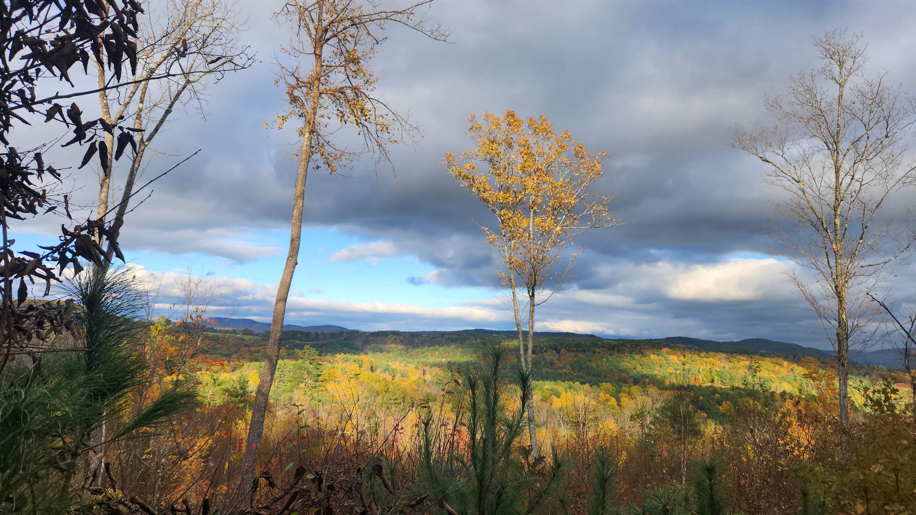 00 Route 302 Property Photo 1