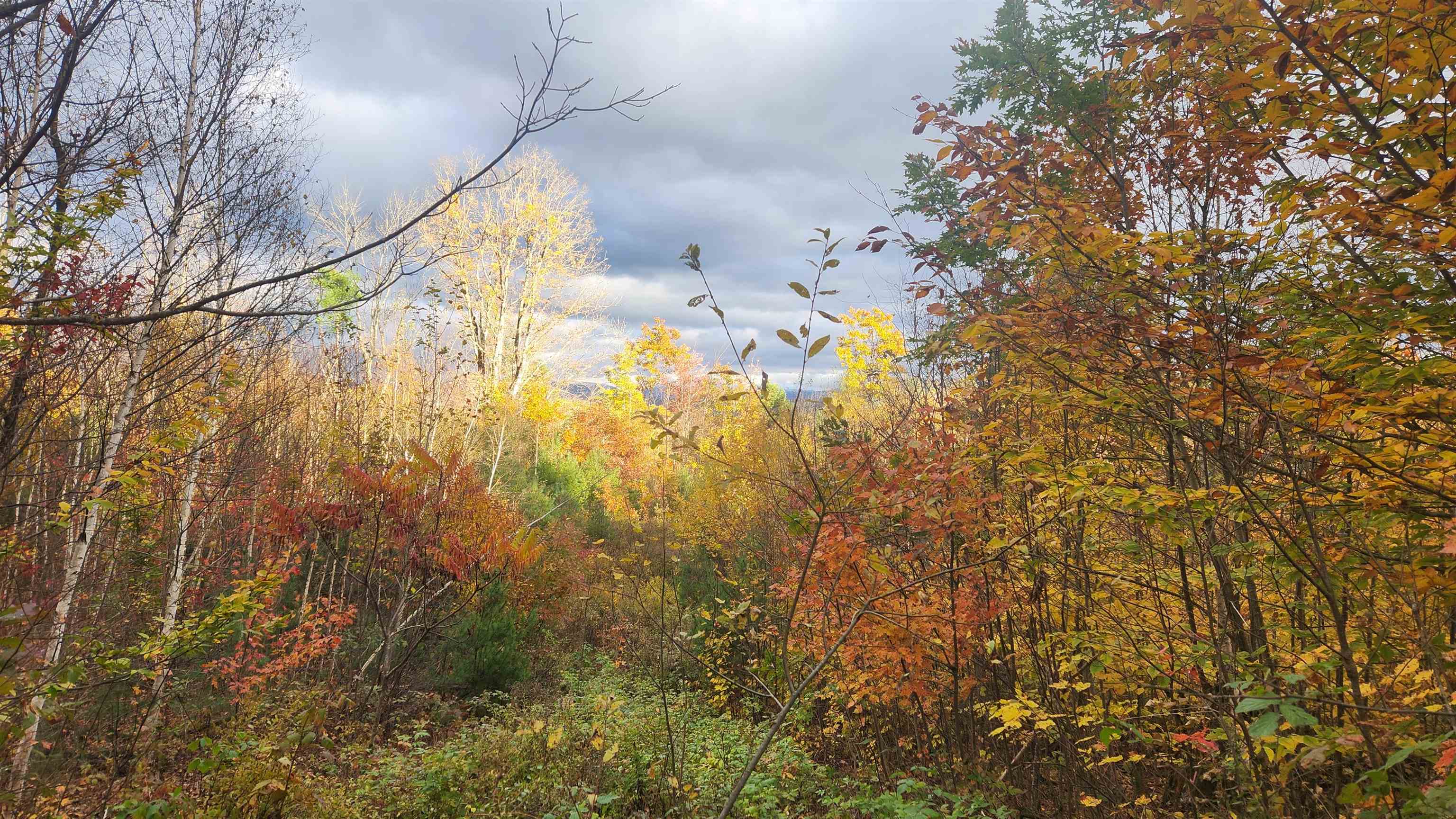 00 Route 302 Property Photo 8