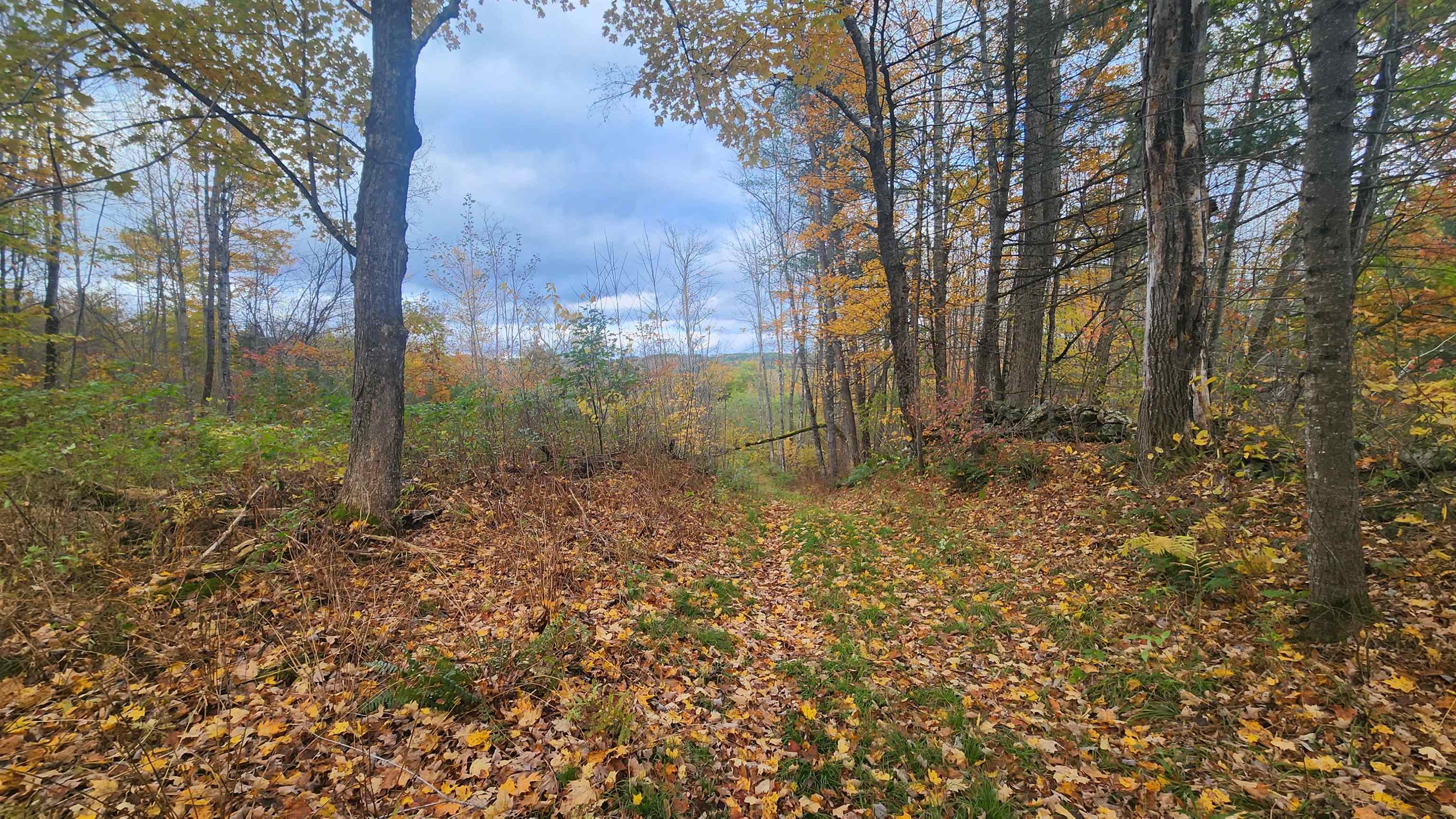 00 Route 302 Property Photo 10