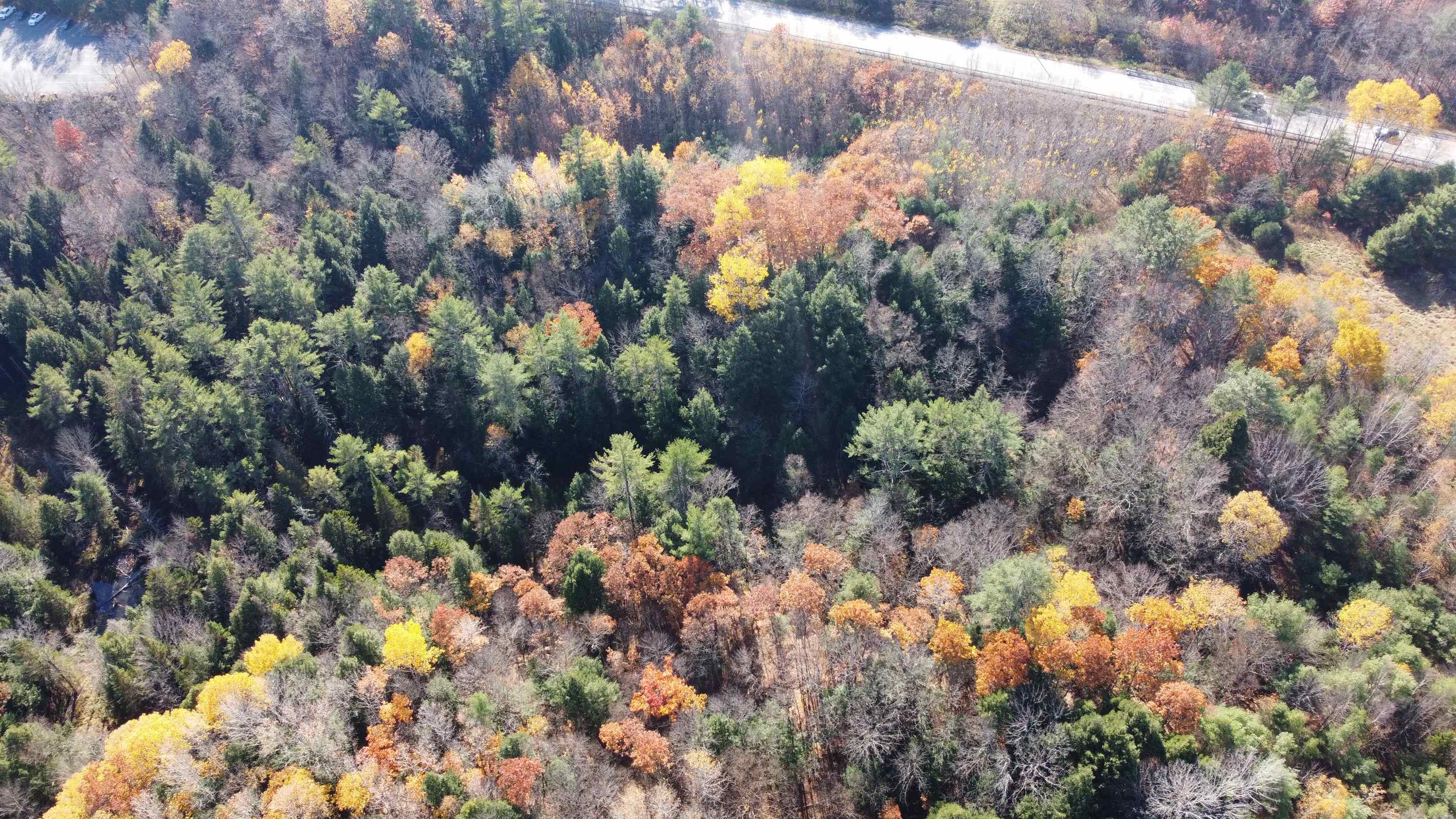 00 Route 302 Property Photo 23
