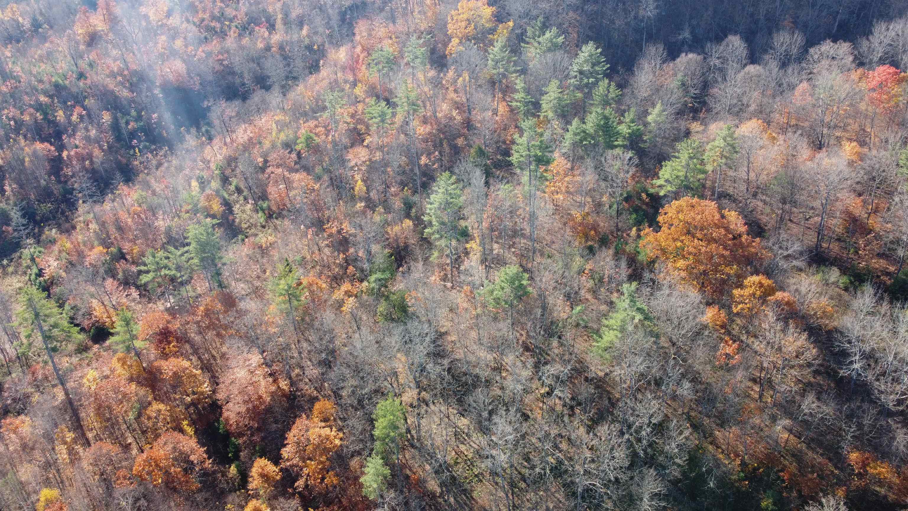 00 Route 302 Property Photo 26
