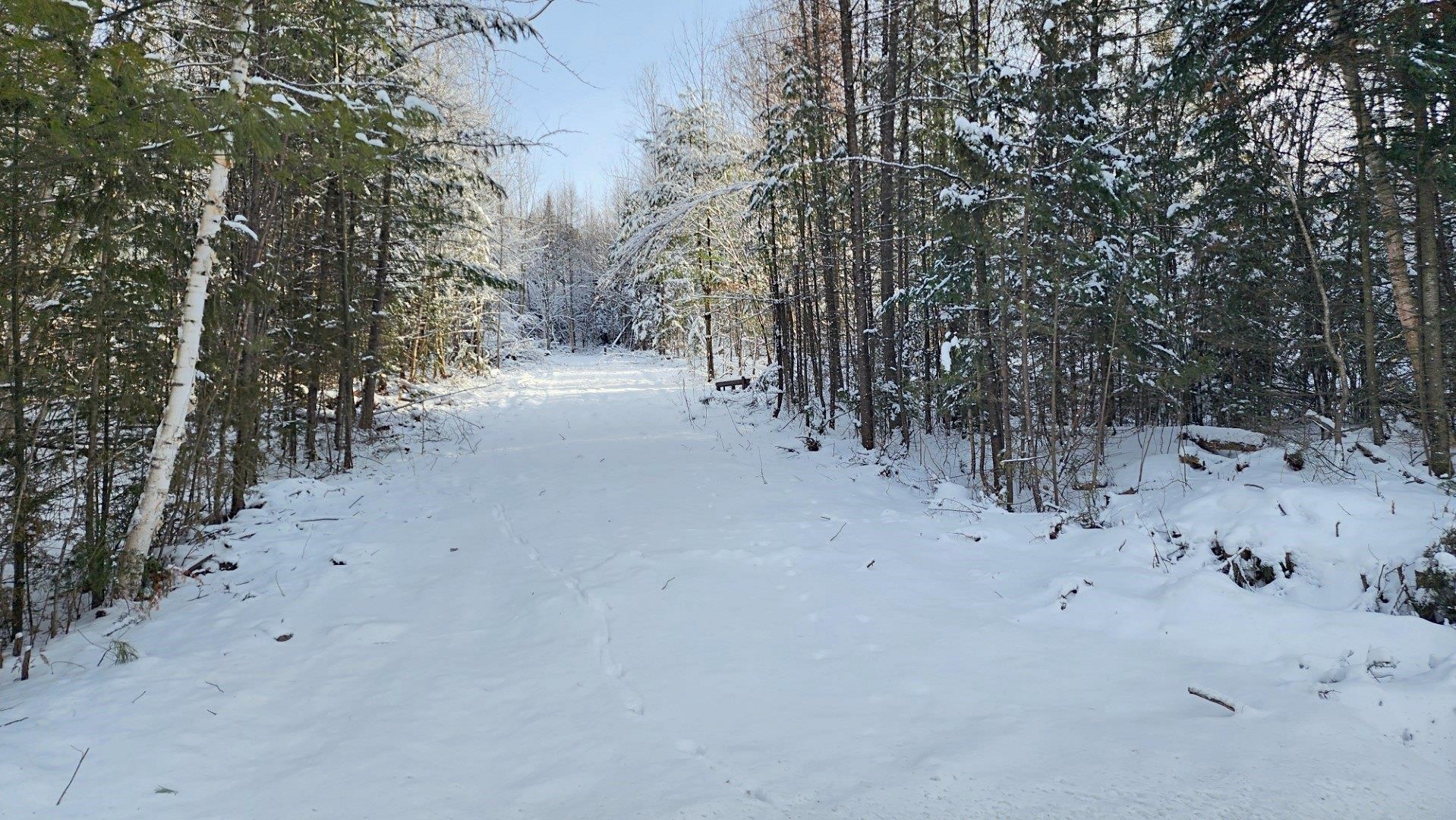 0 Pine Hill Road Property Photo