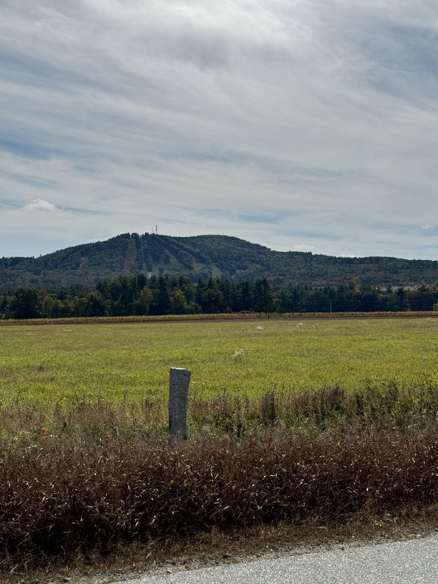 463 Craney Hill Road Property Photo 25