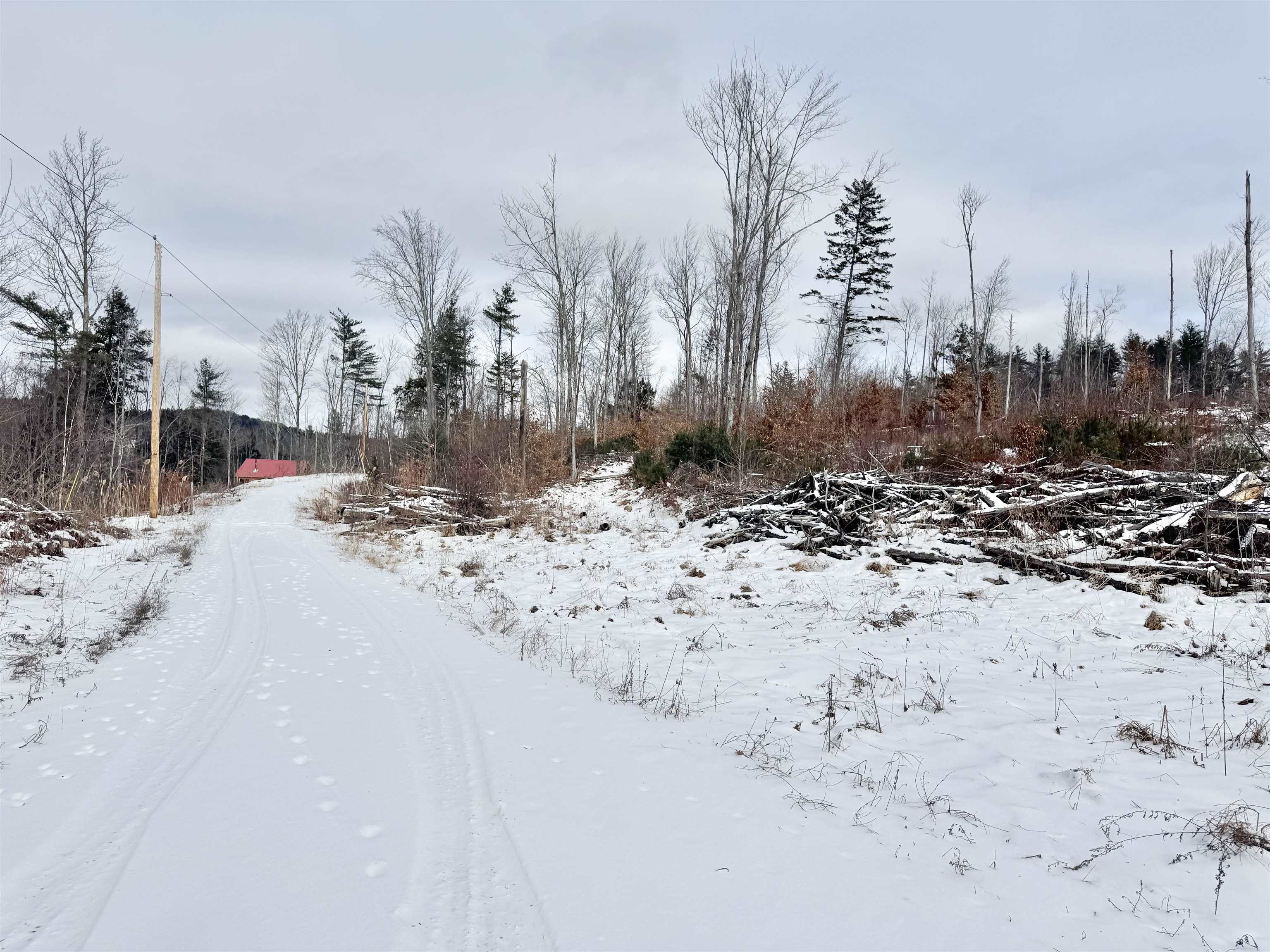 0 Wildlife Road Property Photo