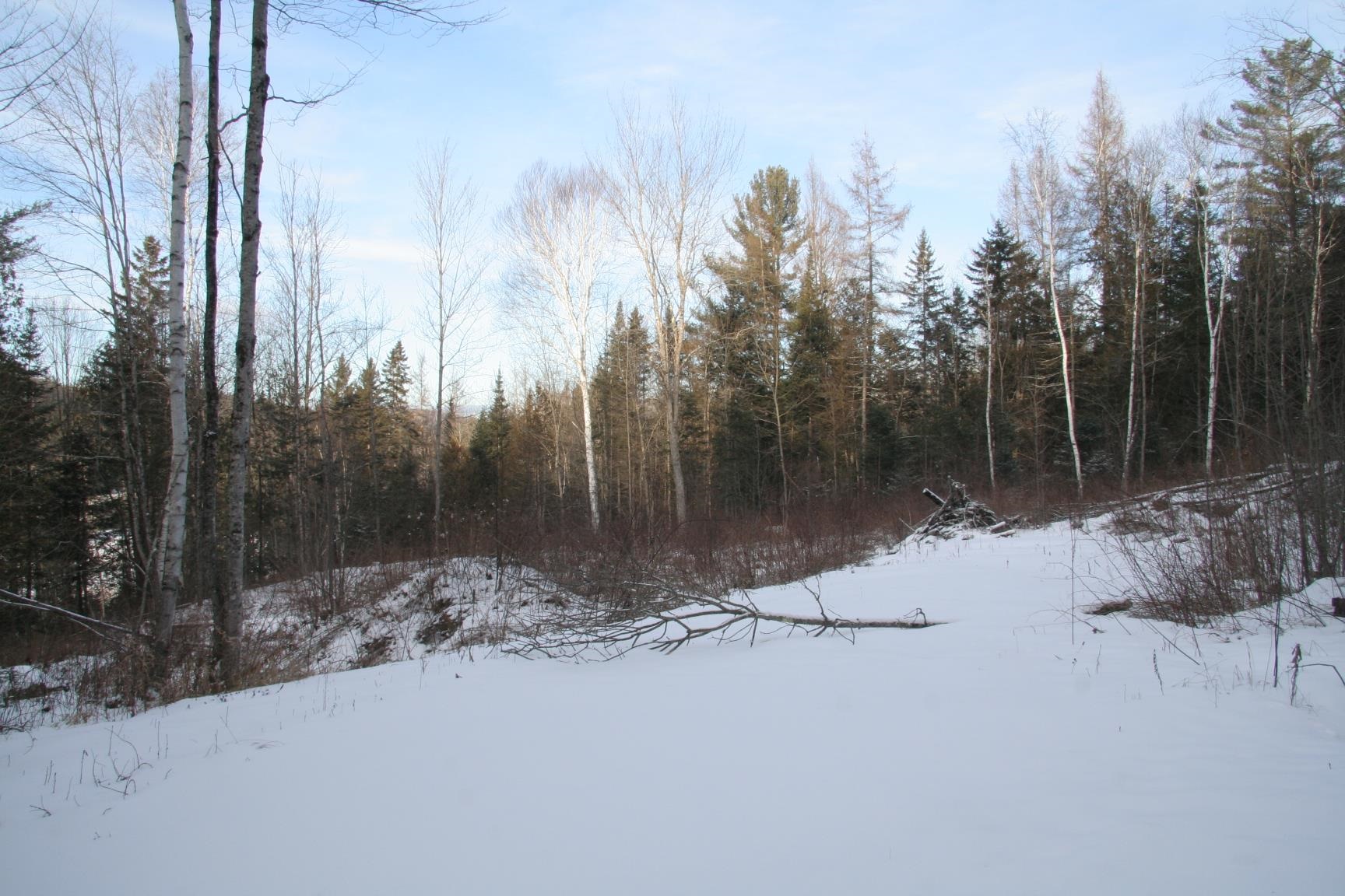 3288 Pinkham Road Property Photo